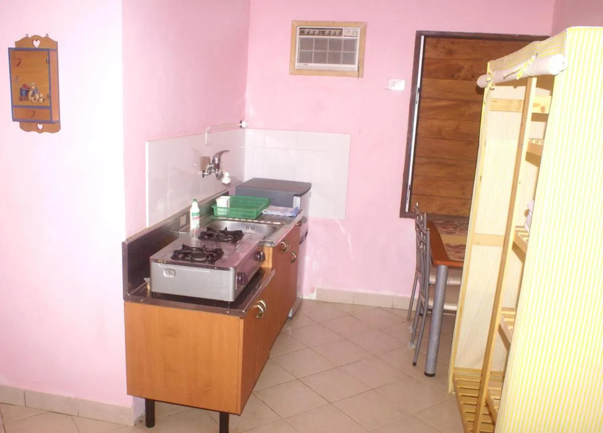 Kitchen or kitchenette in Bluepango Guest House