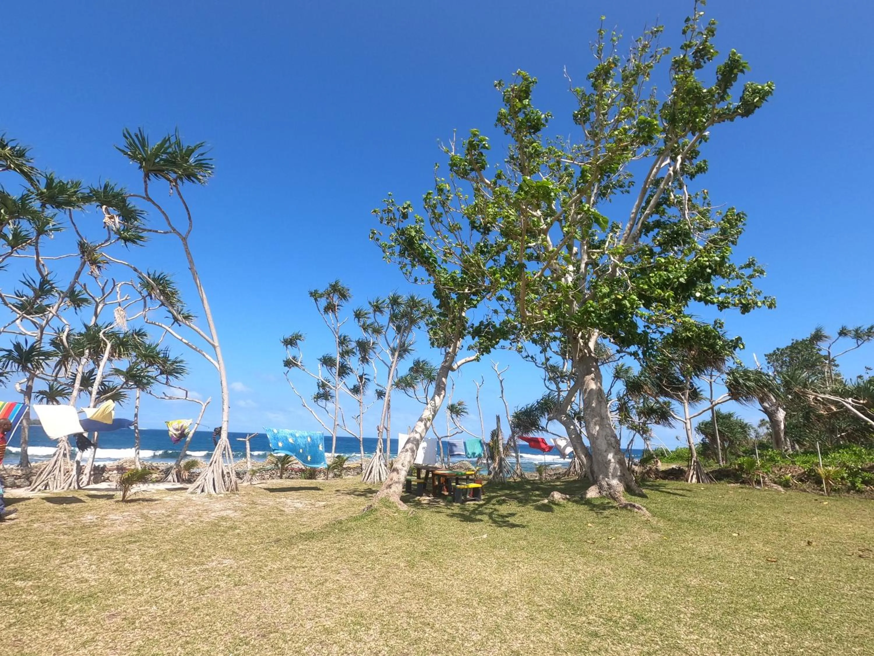 Bluepango Guest House