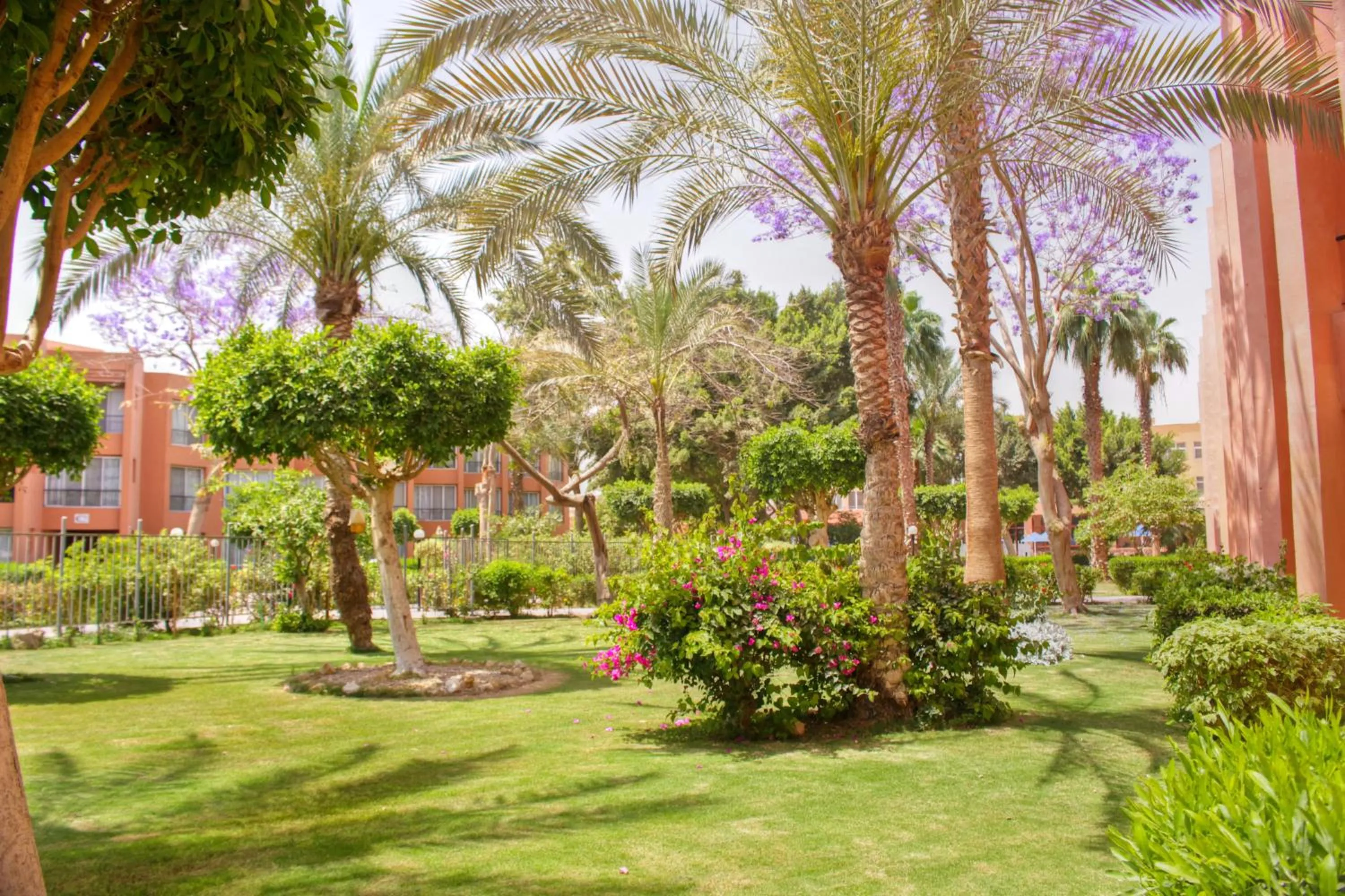 Garden view in Kefi Palmera Beach Resort El Sokhna - Family Only