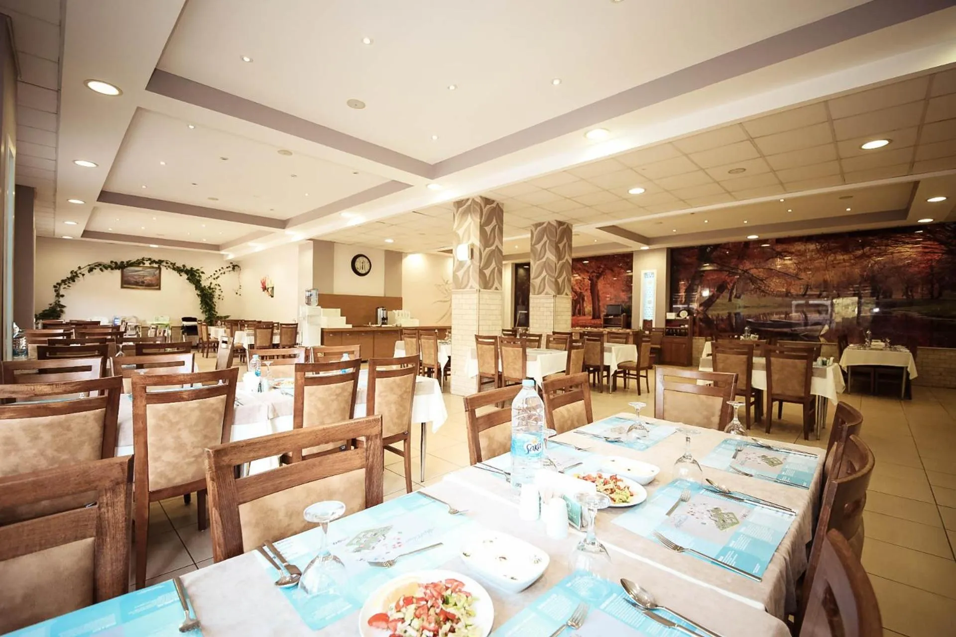 Restaurant/places to eat in Basaranlar Thermal Otel