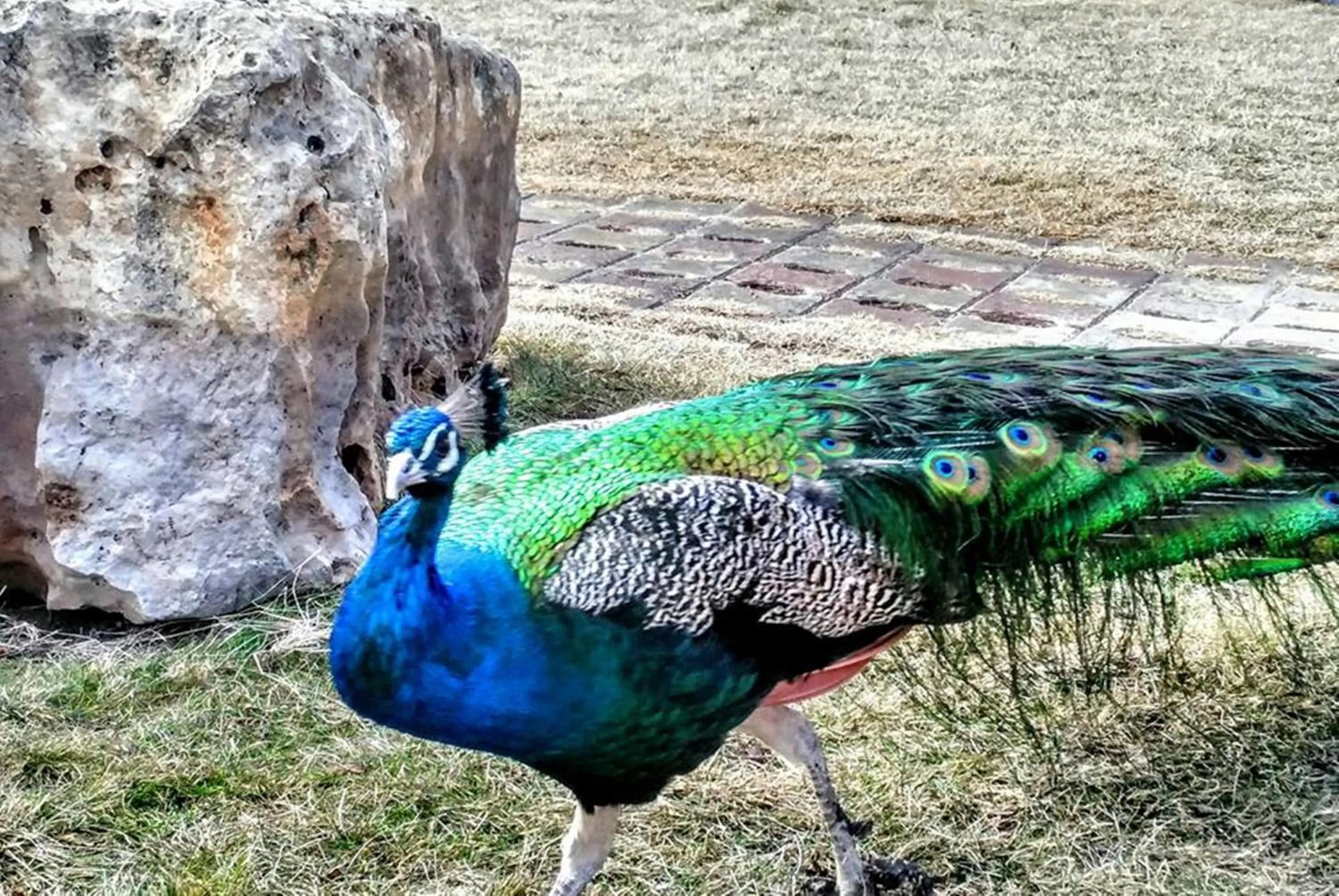 Day in Basaranlar Thermal Otel