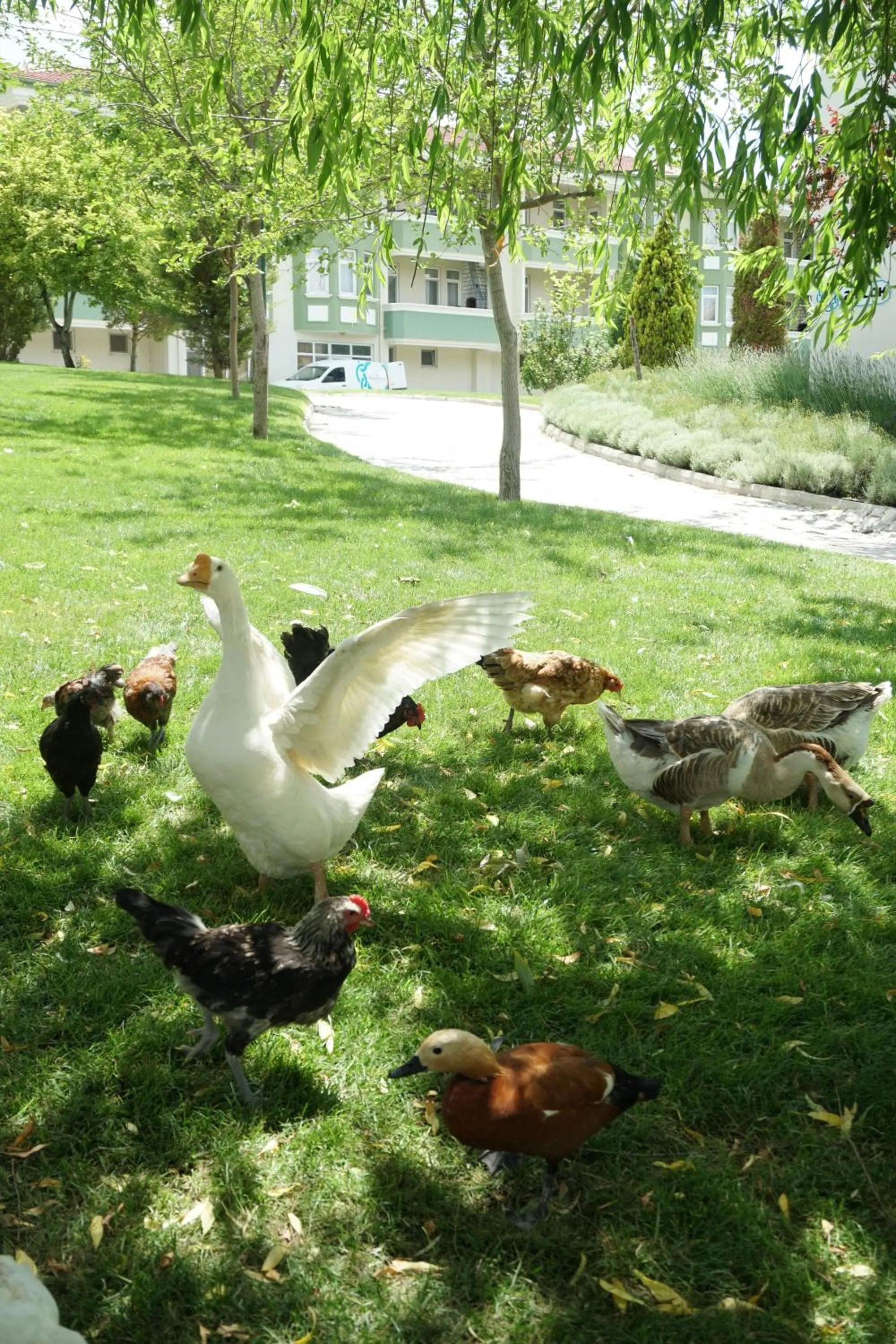 Natural landscape in Basaranlar Thermal Otel