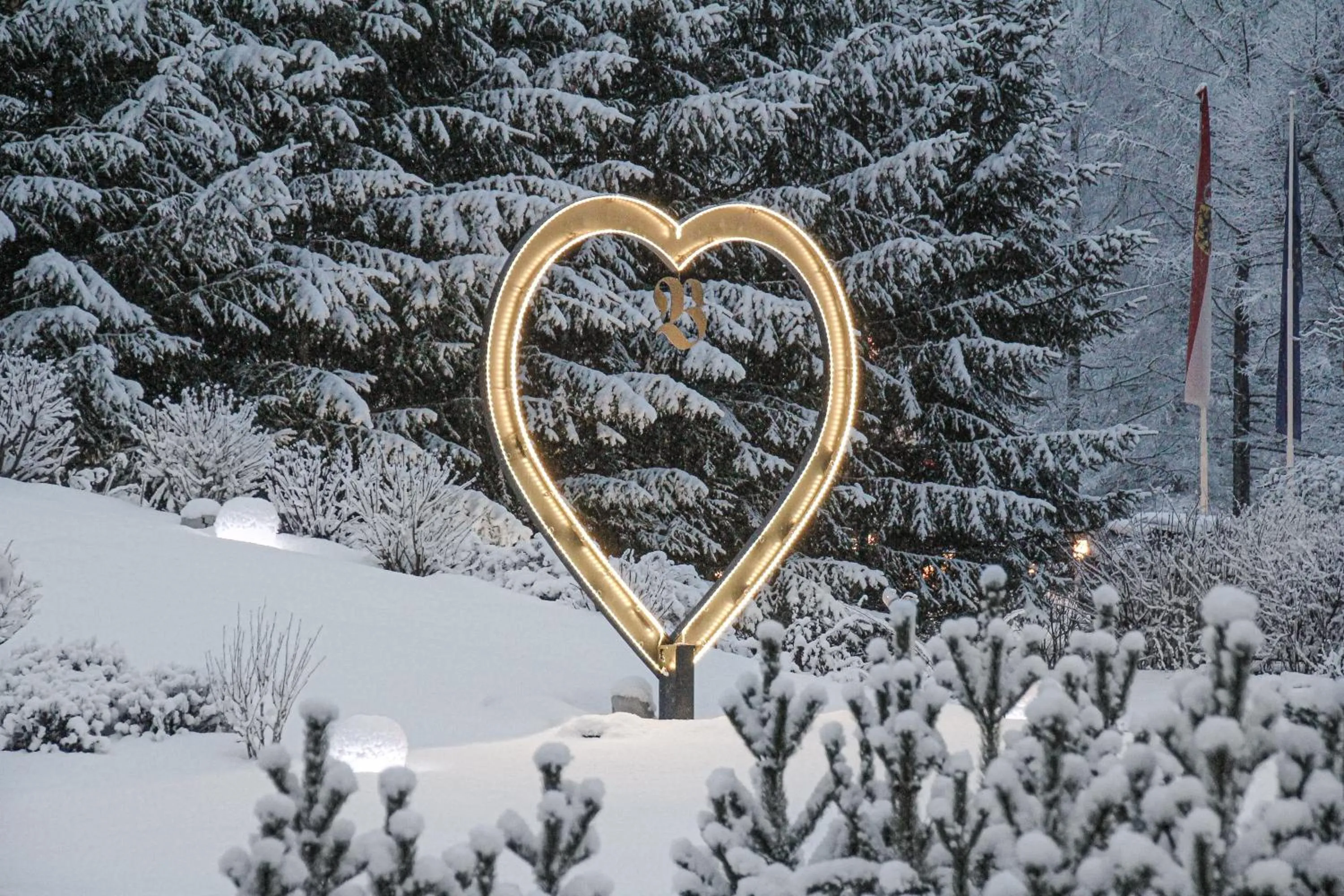 Garden view in Hotel Bismarck