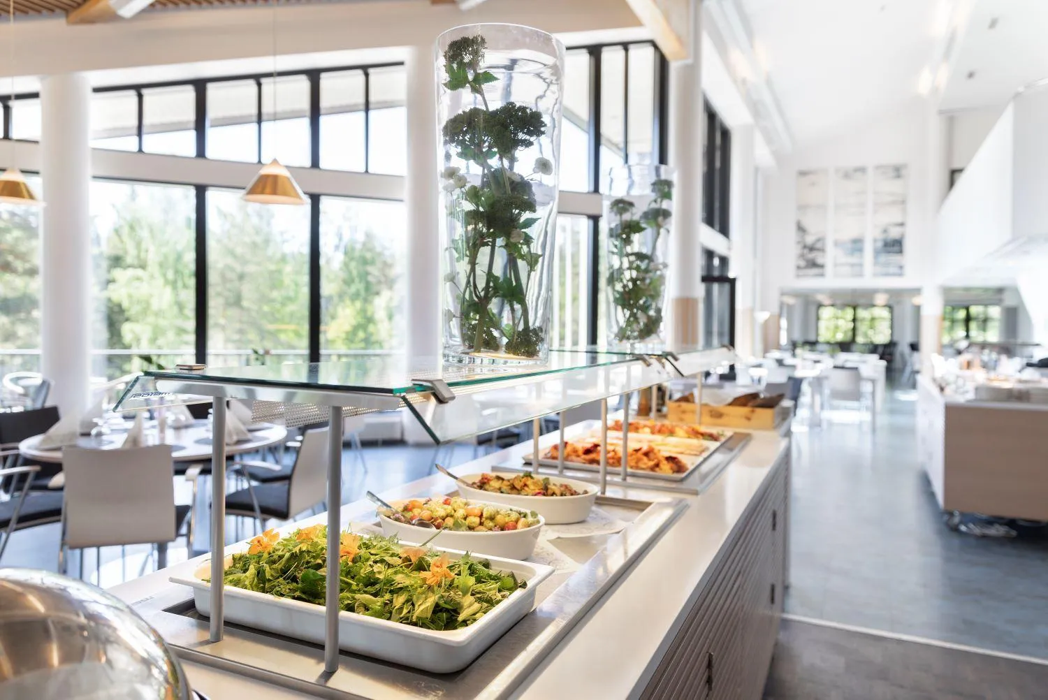 Restaurant/places to eat in Majvik Congress Hotel