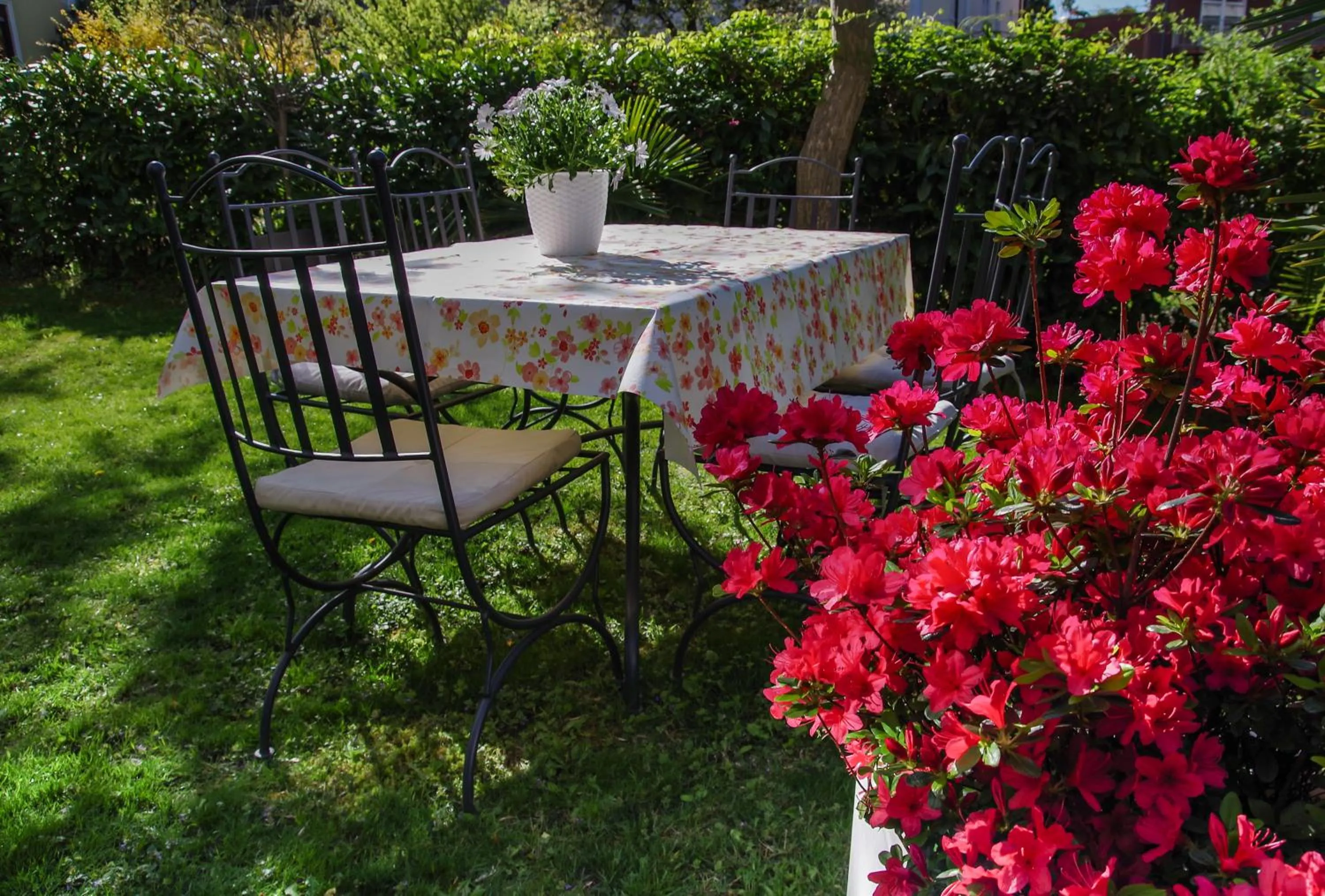 Patio in Residence Diana