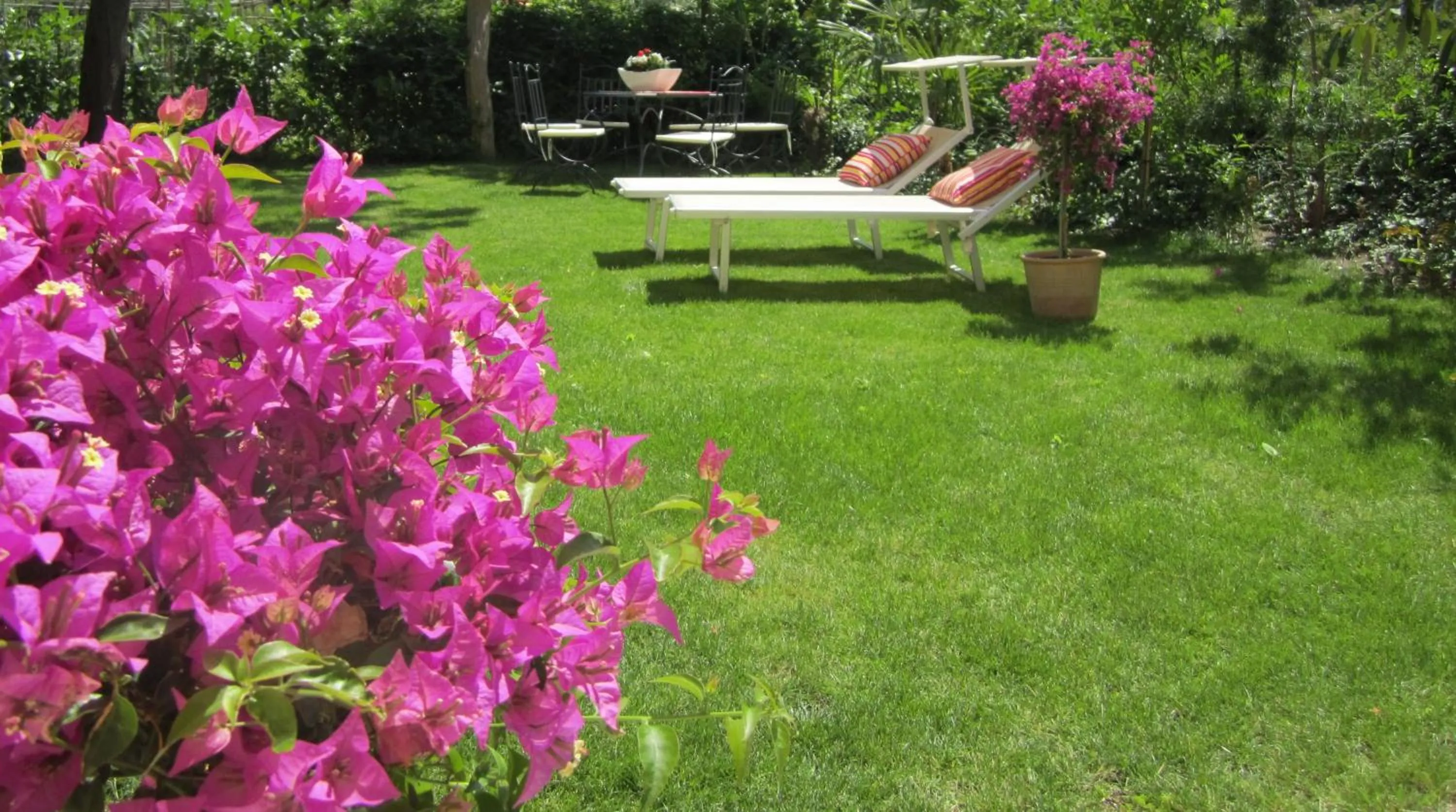 Spring in Residence Diana