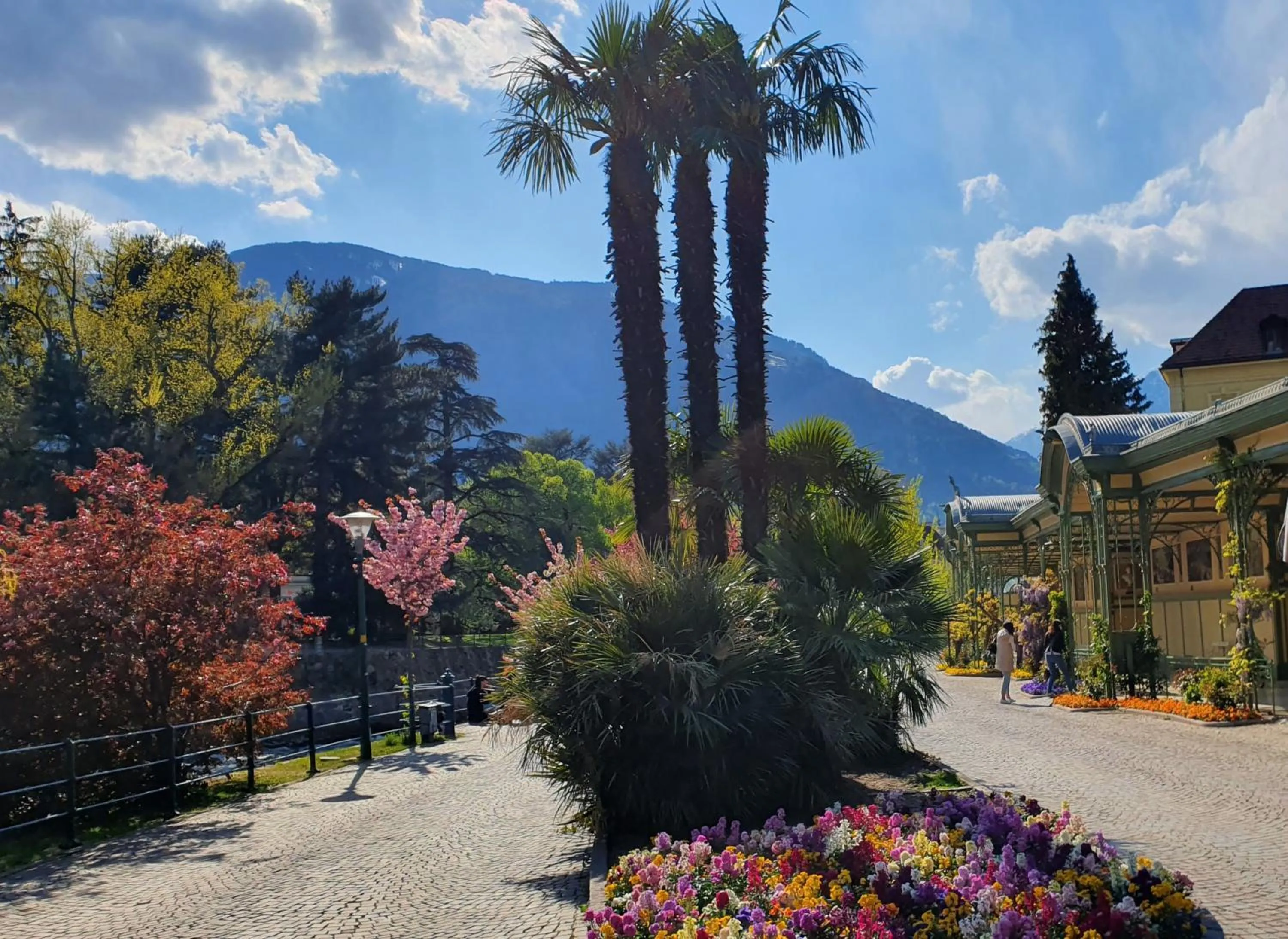 Spring in Residence Diana