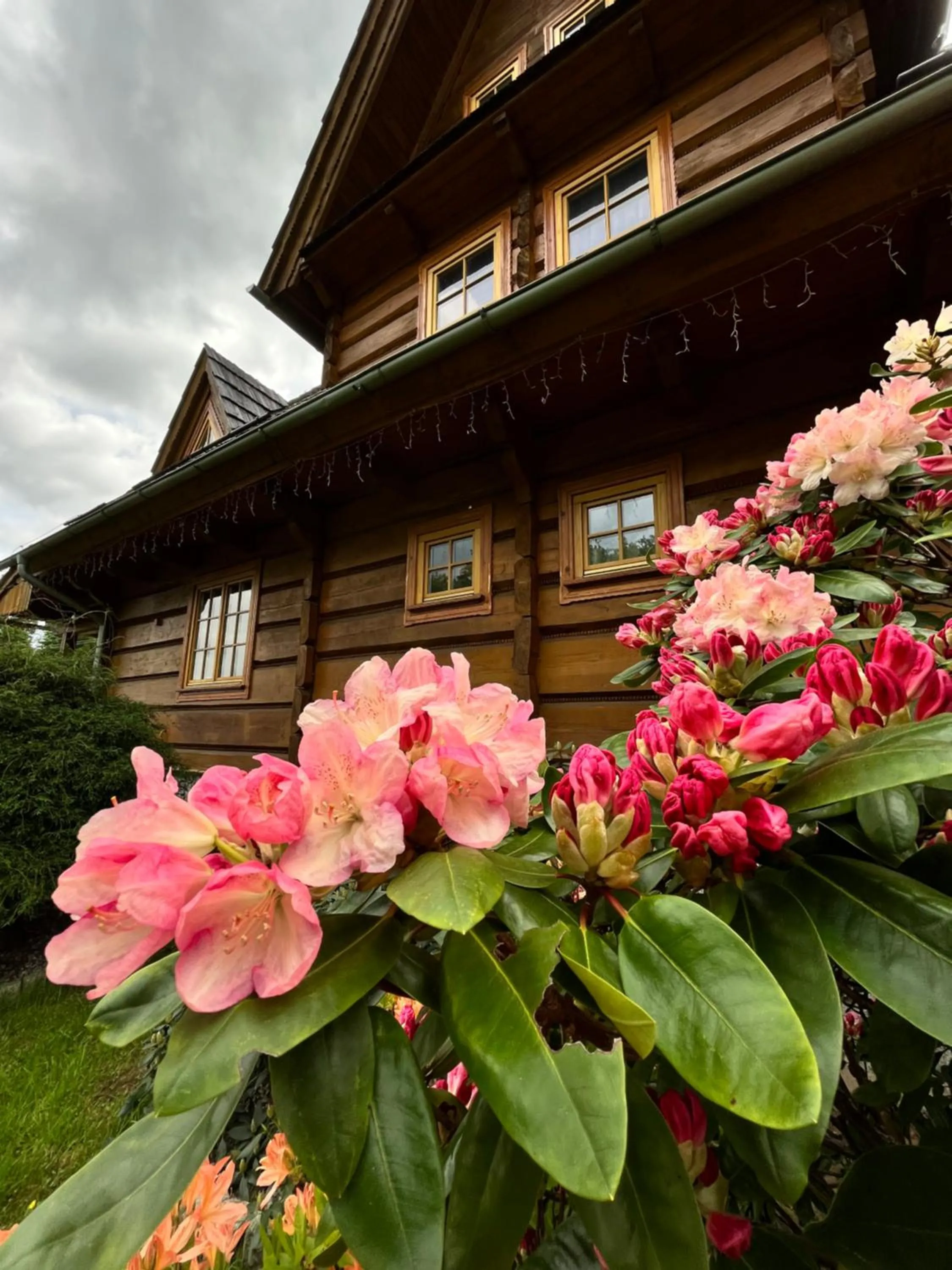 Day in Chata Sosnówka Residence