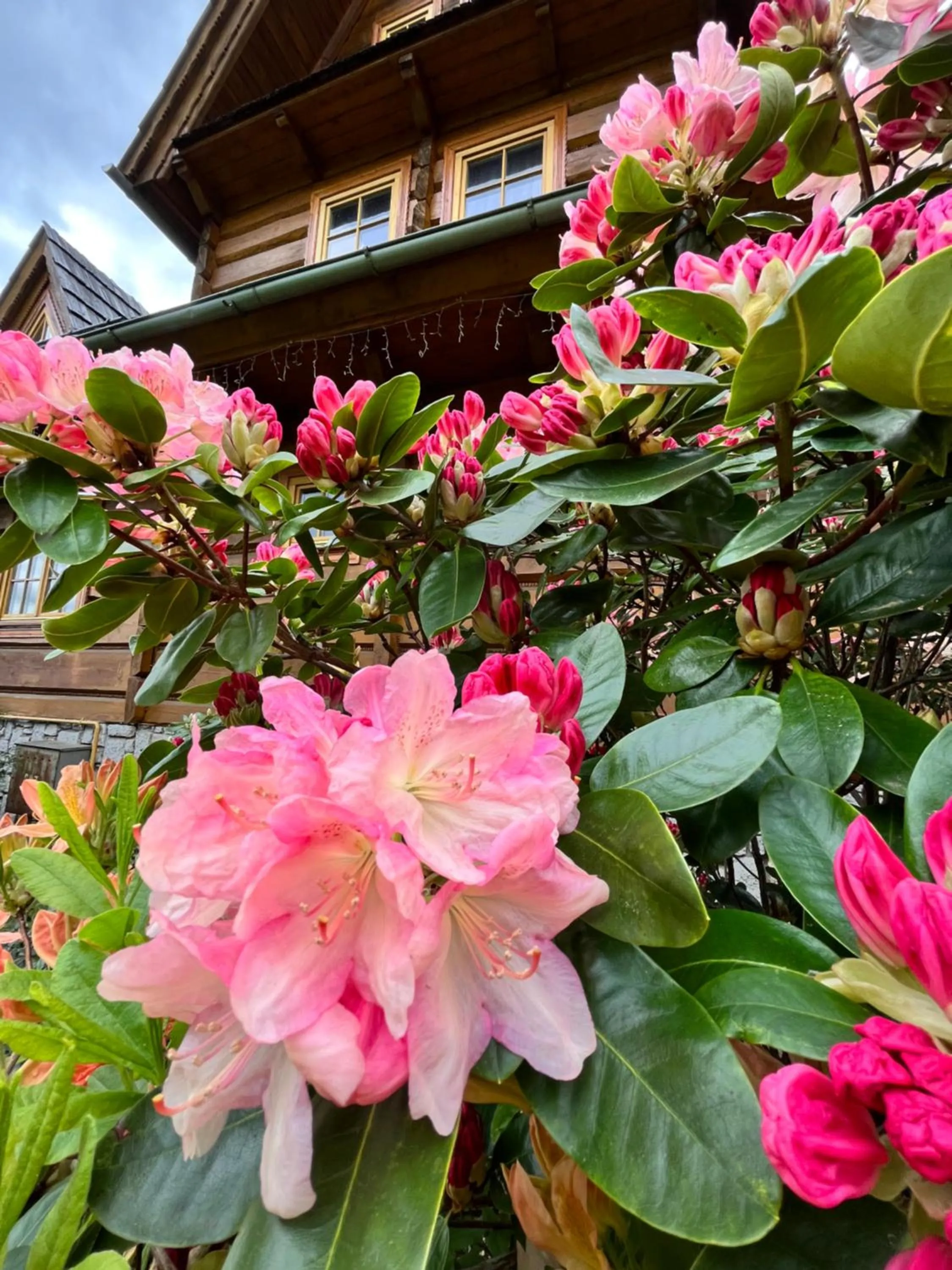 Spring in Chata Sosnówka Residence