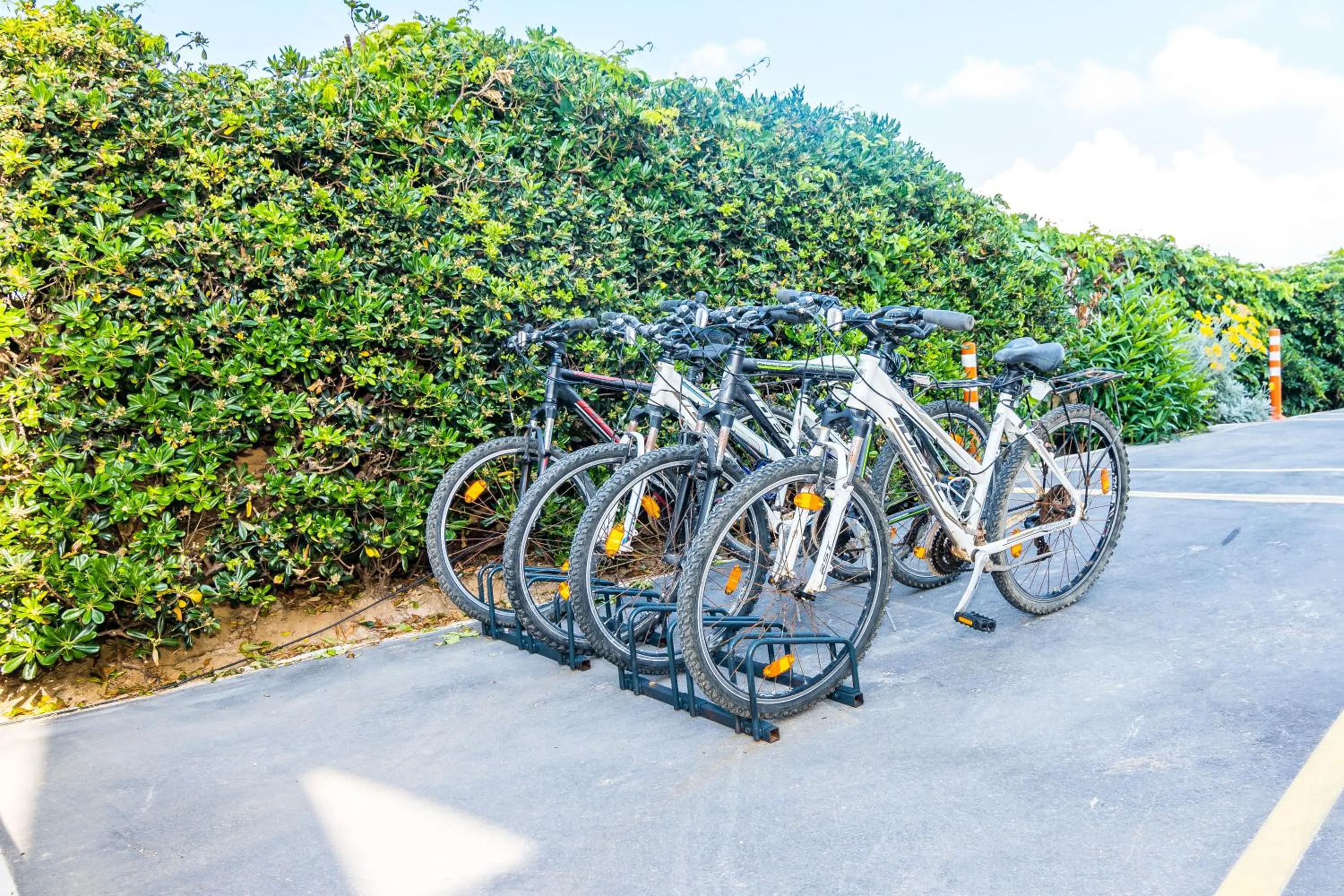 Activities in Thalassa Apartments