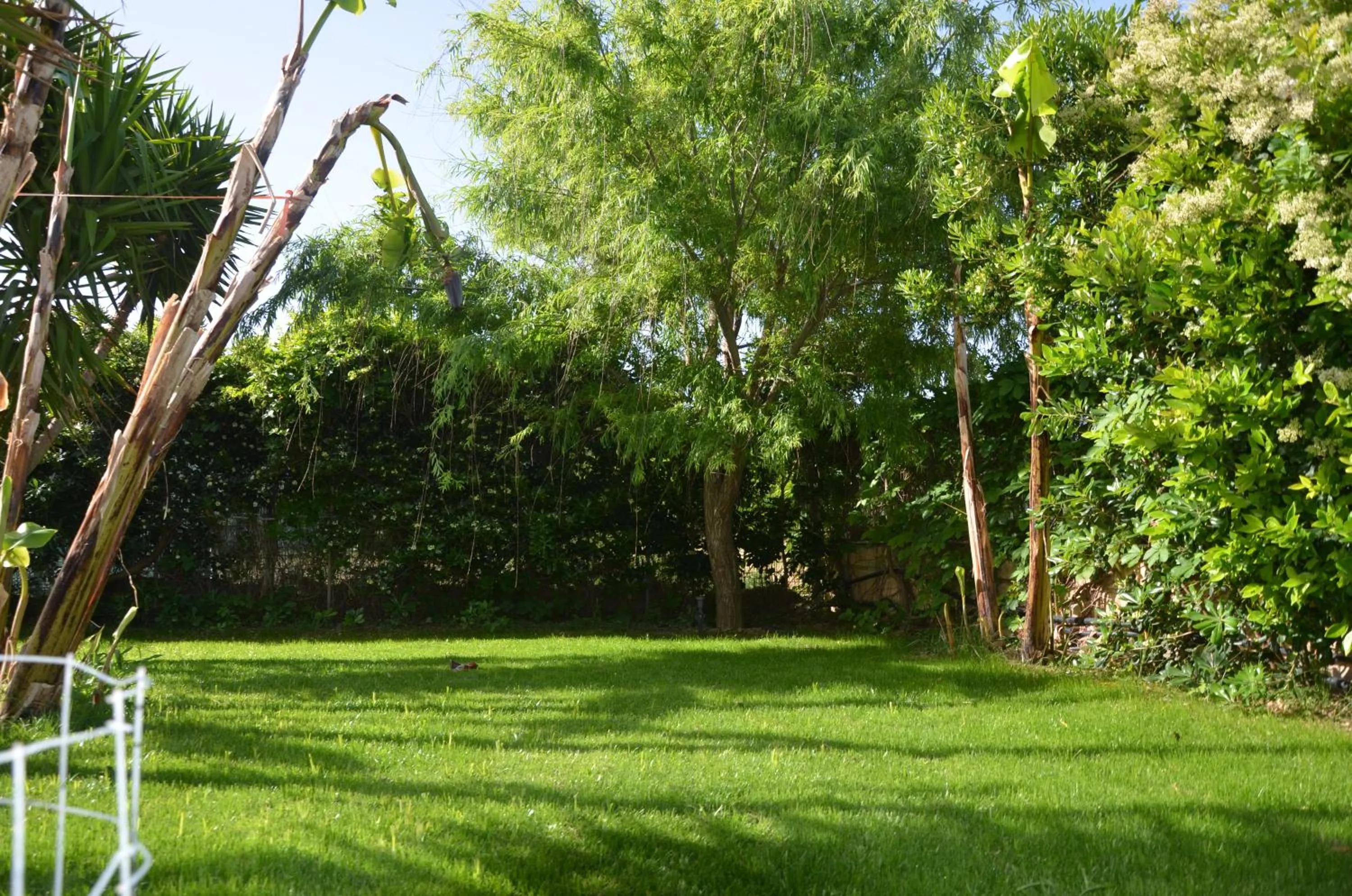 Garden in Thalassa Apartments