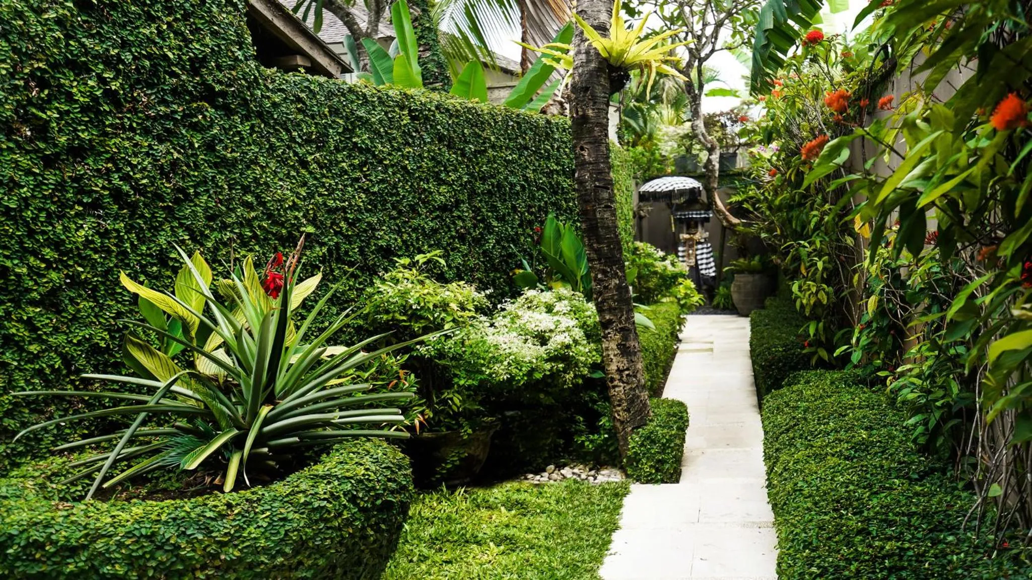 Garden view in Villa Jajaliluna