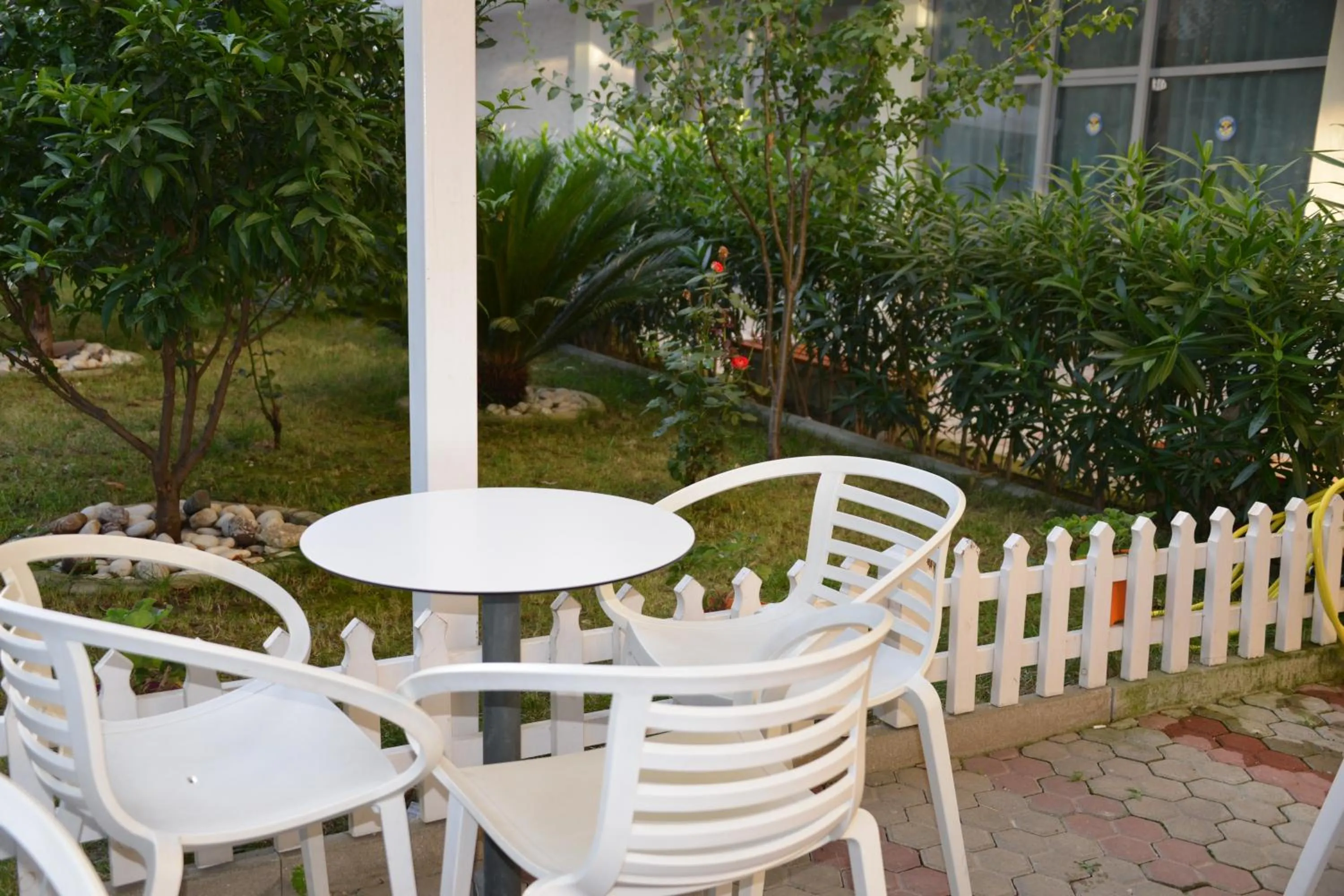 Garden view in Comfort Hotel