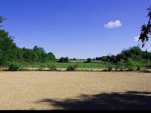 Activities in The Wishing Well