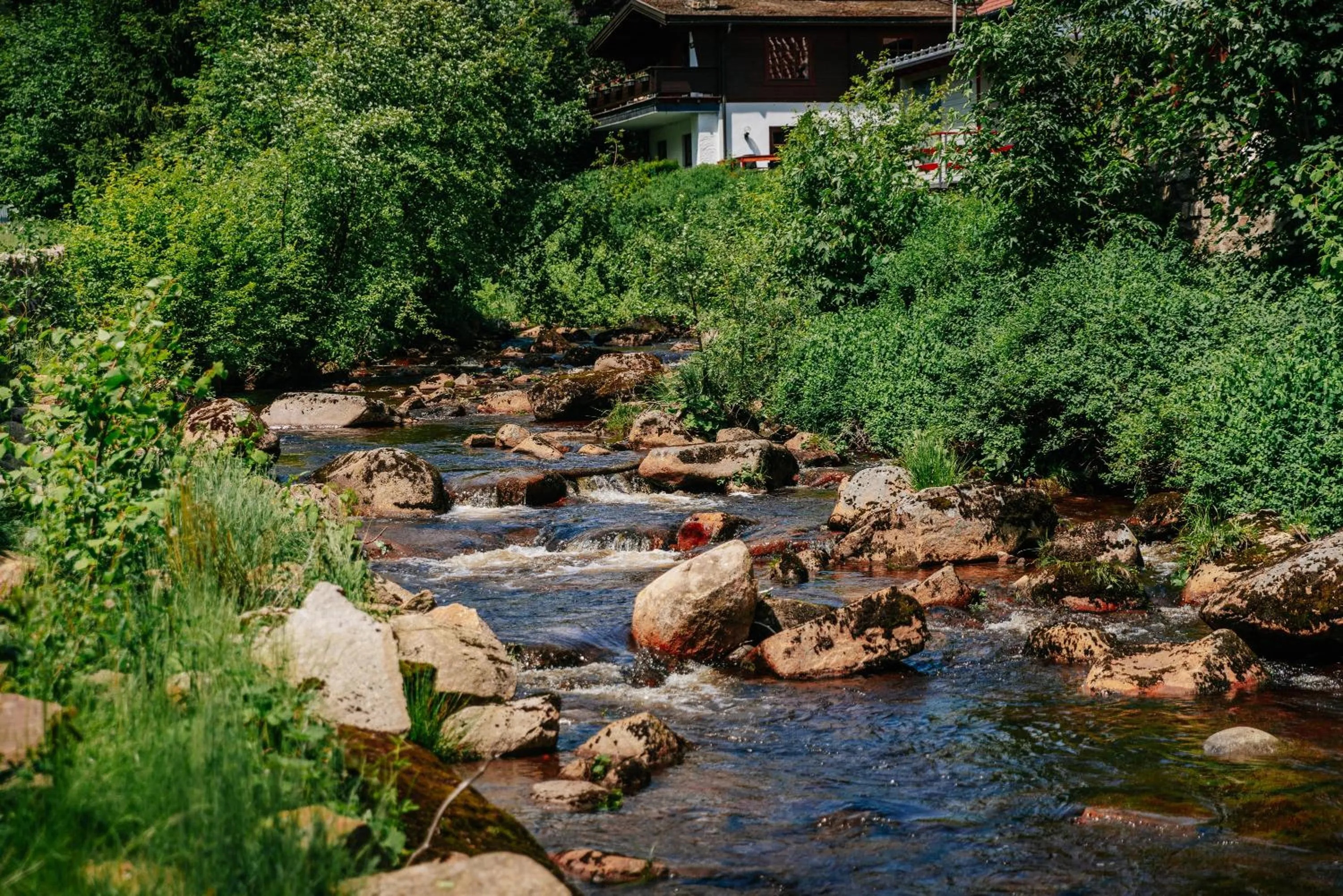 Natural landscape in Hotel Villa Bodeblick