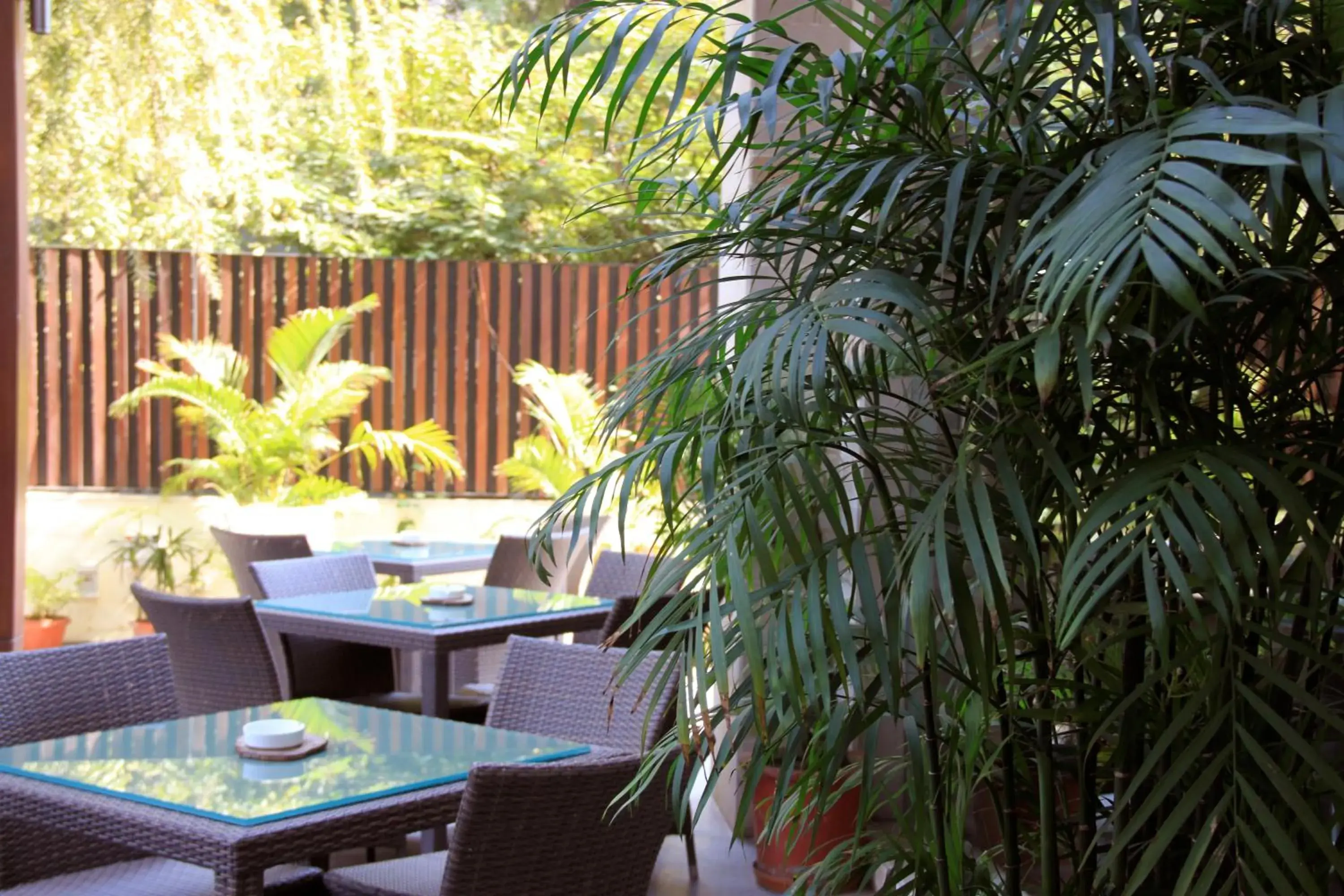Restaurant/places to eat in Udman Hotel Panchshila Park Restaurant/places to eat in Udman Hotel Panchshila Park