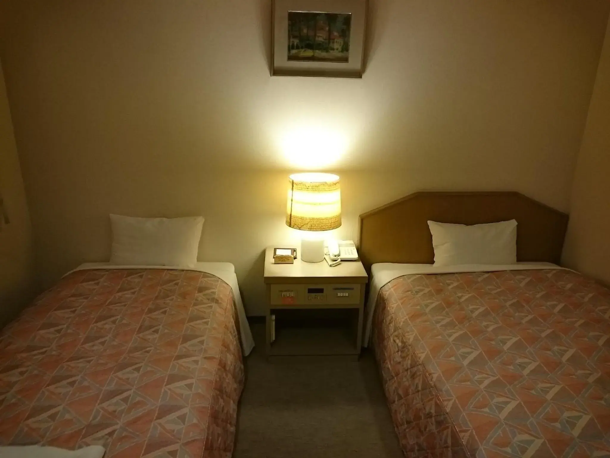 Twin Room - Smoking in Hotel Lakeland Hikone Twin Room - Smoking in Hotel Lakeland Hikone