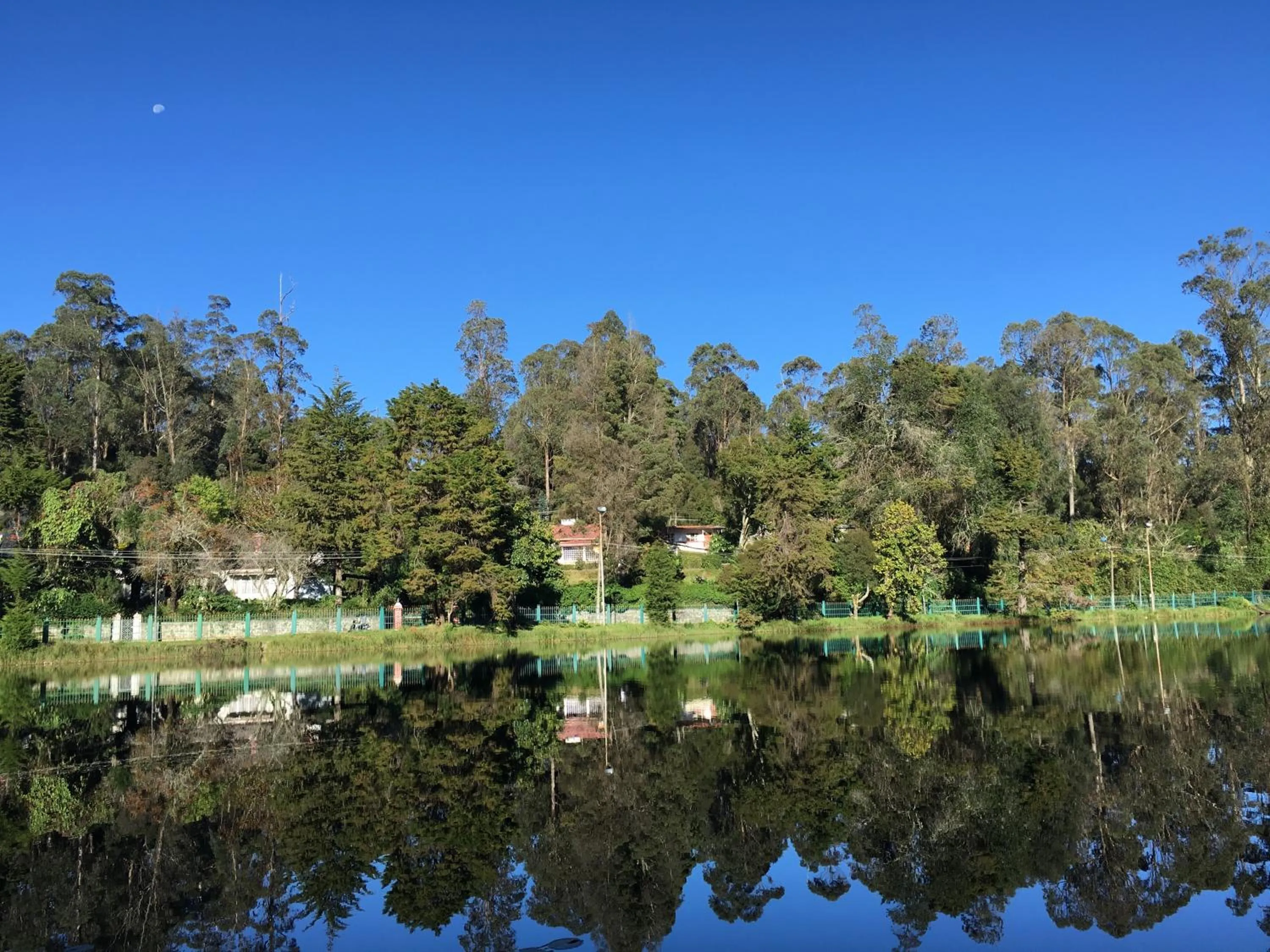 Spring in JC Residency