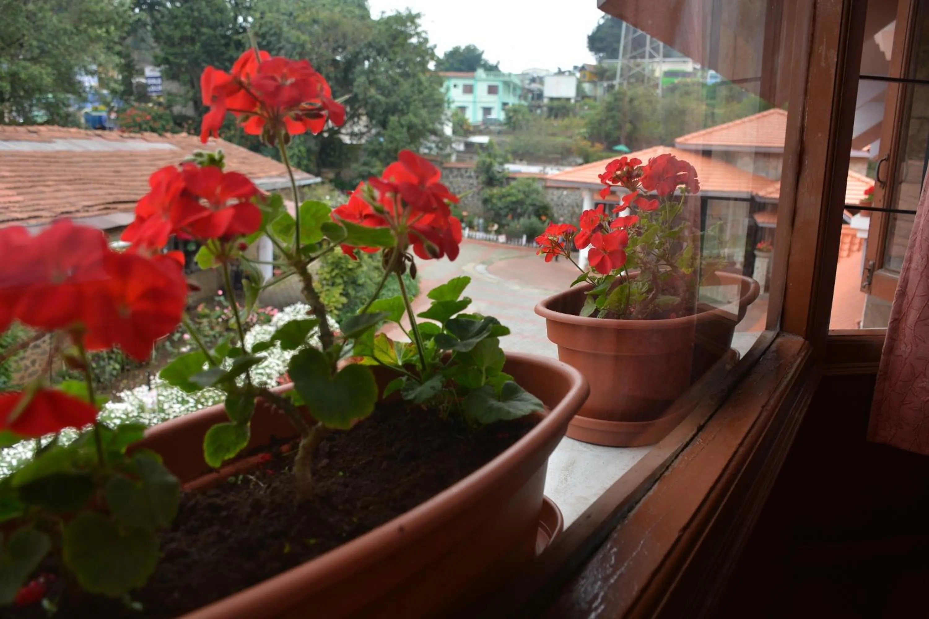 Garden in JC Residency