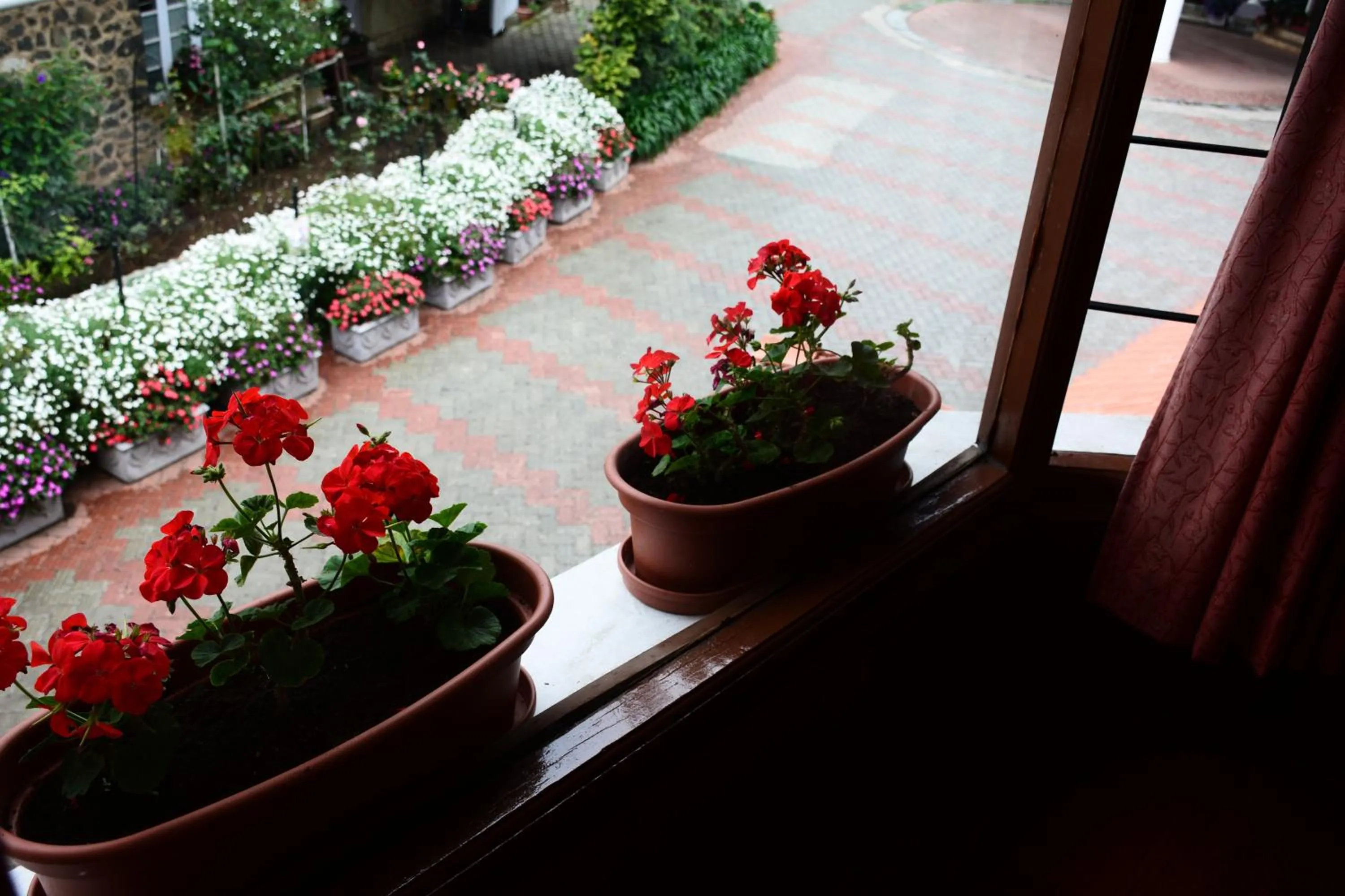 Garden in JC Residency