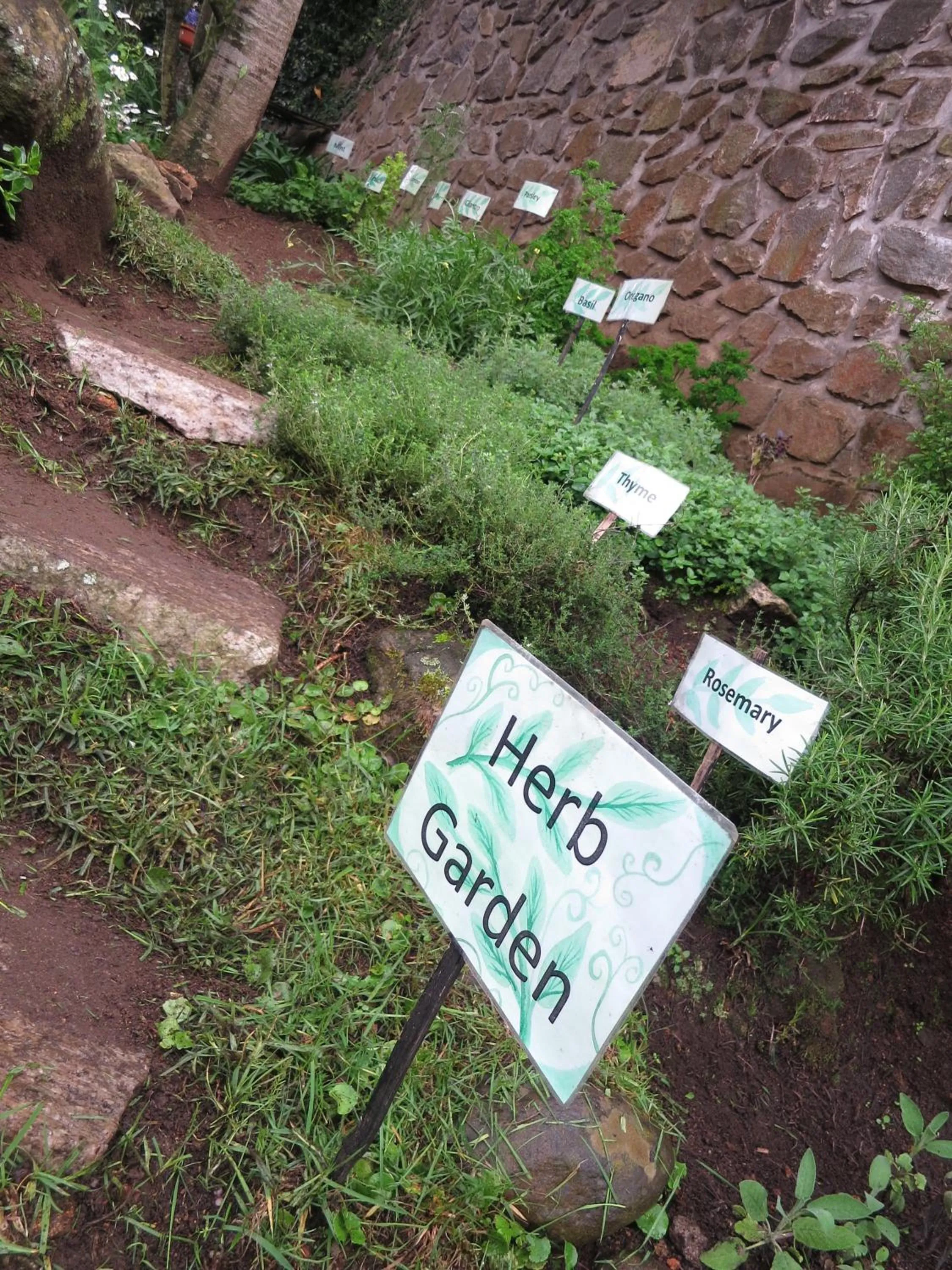 Summer in JC Residency