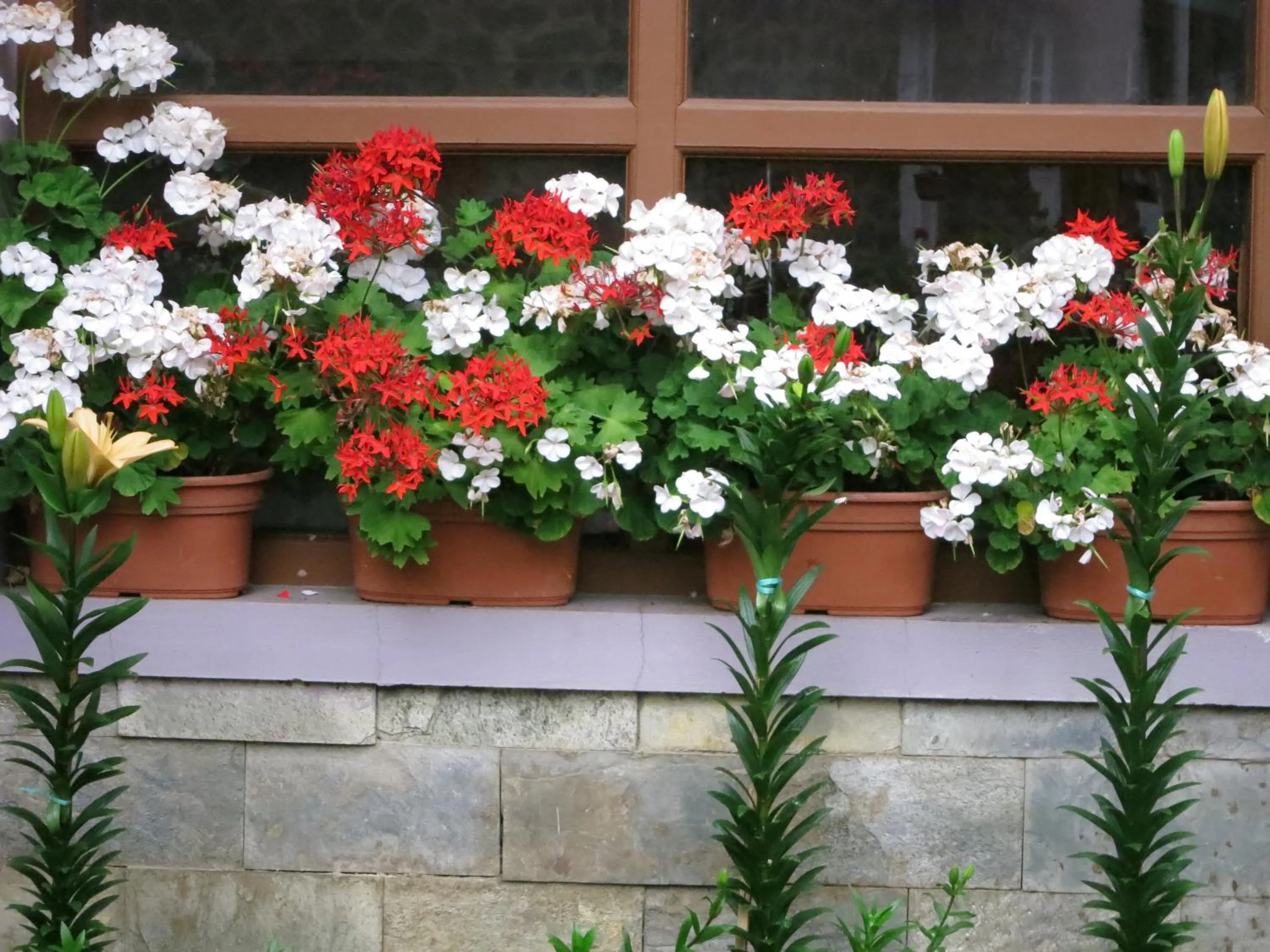 Spring in JC Residency