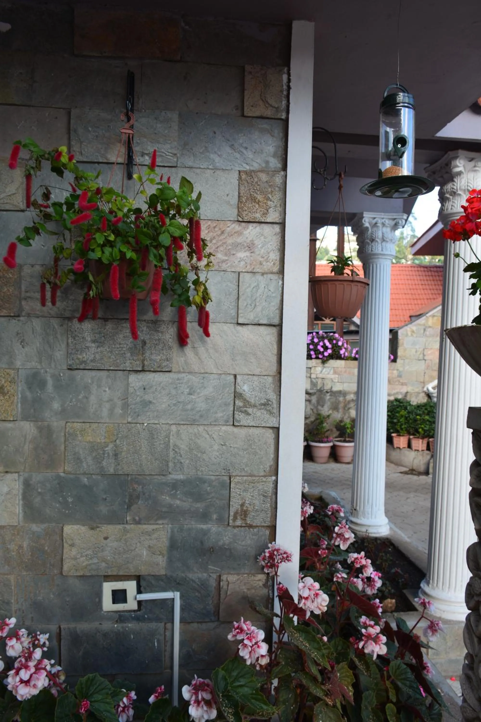 Spring in JC Residency