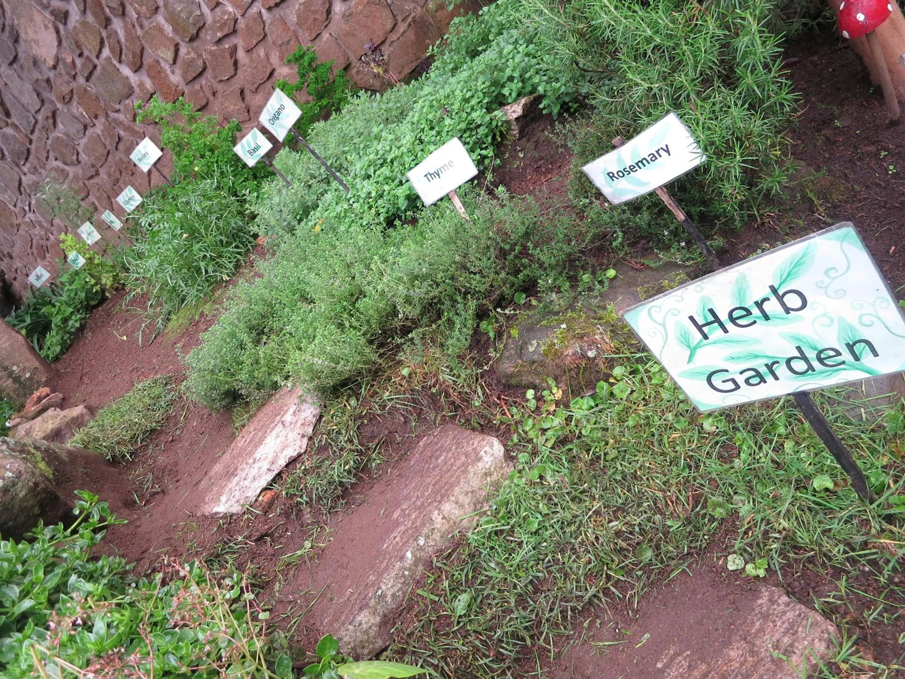 Garden in JC Residency