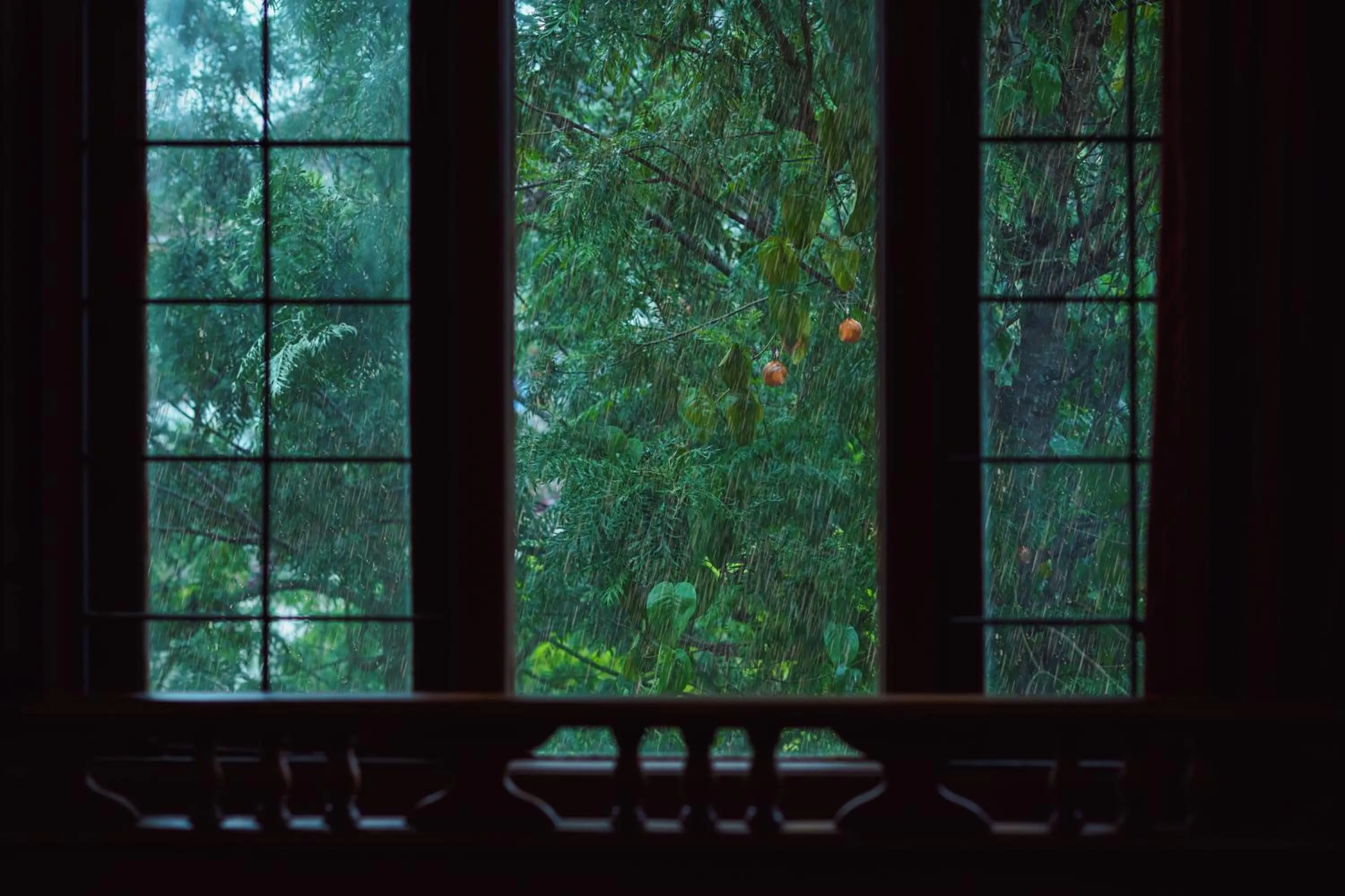 Natural landscape in JC Residency