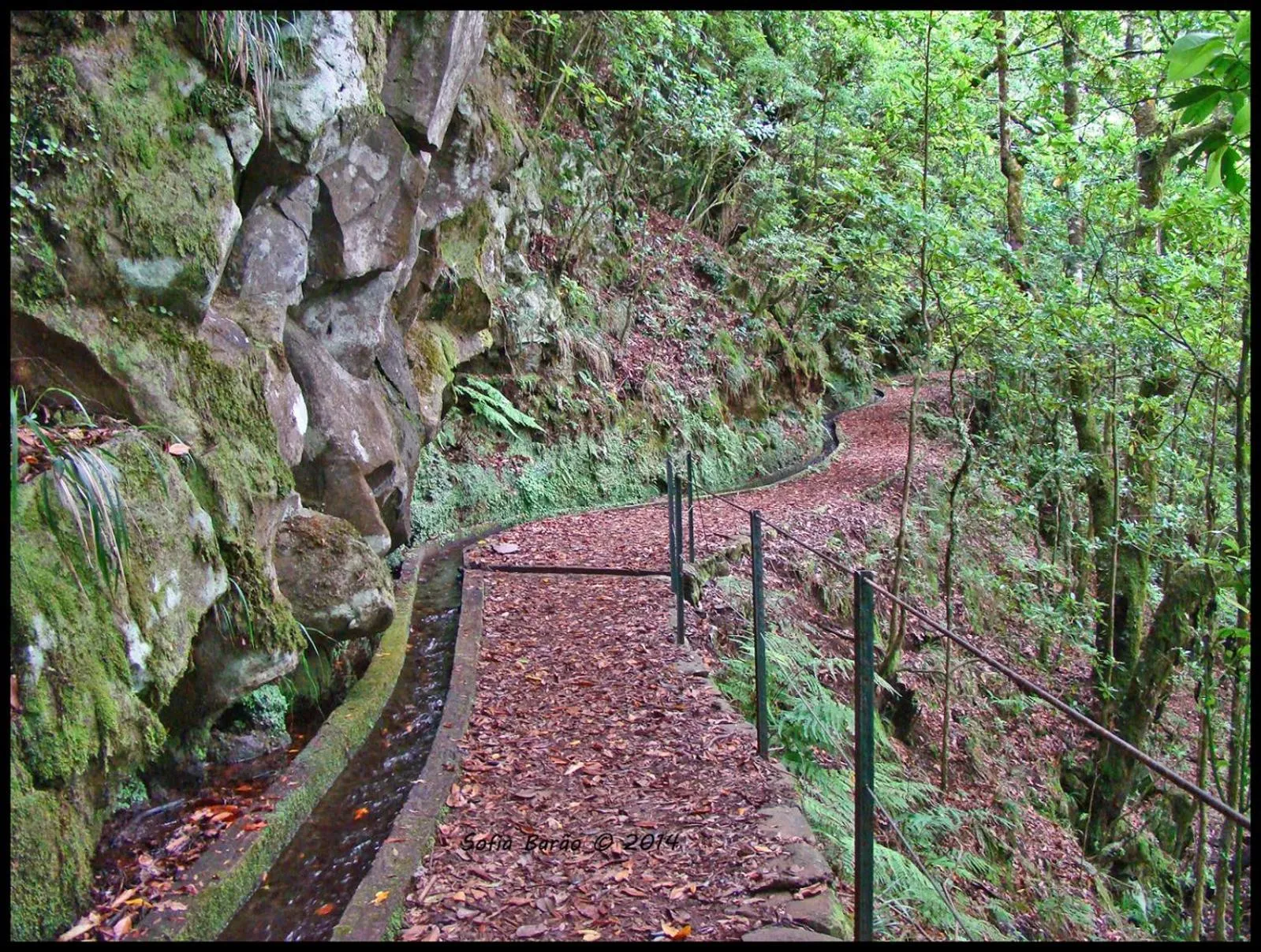 Hiking in Pereira Place