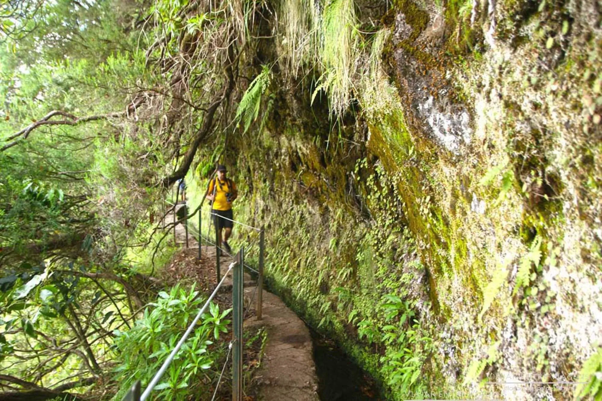 Hiking in Pereira Place