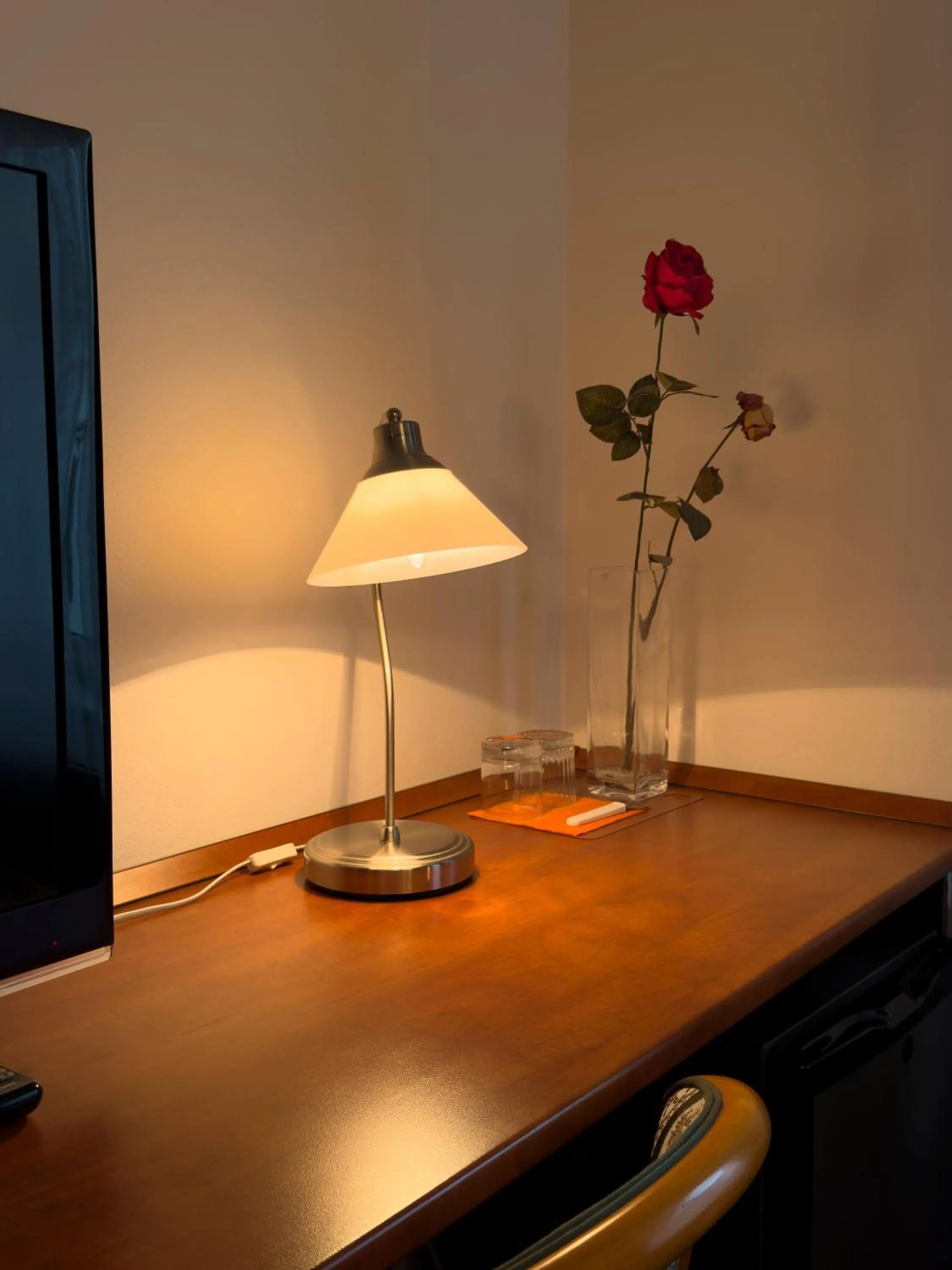 TV and multimedia in Pension Erlaa