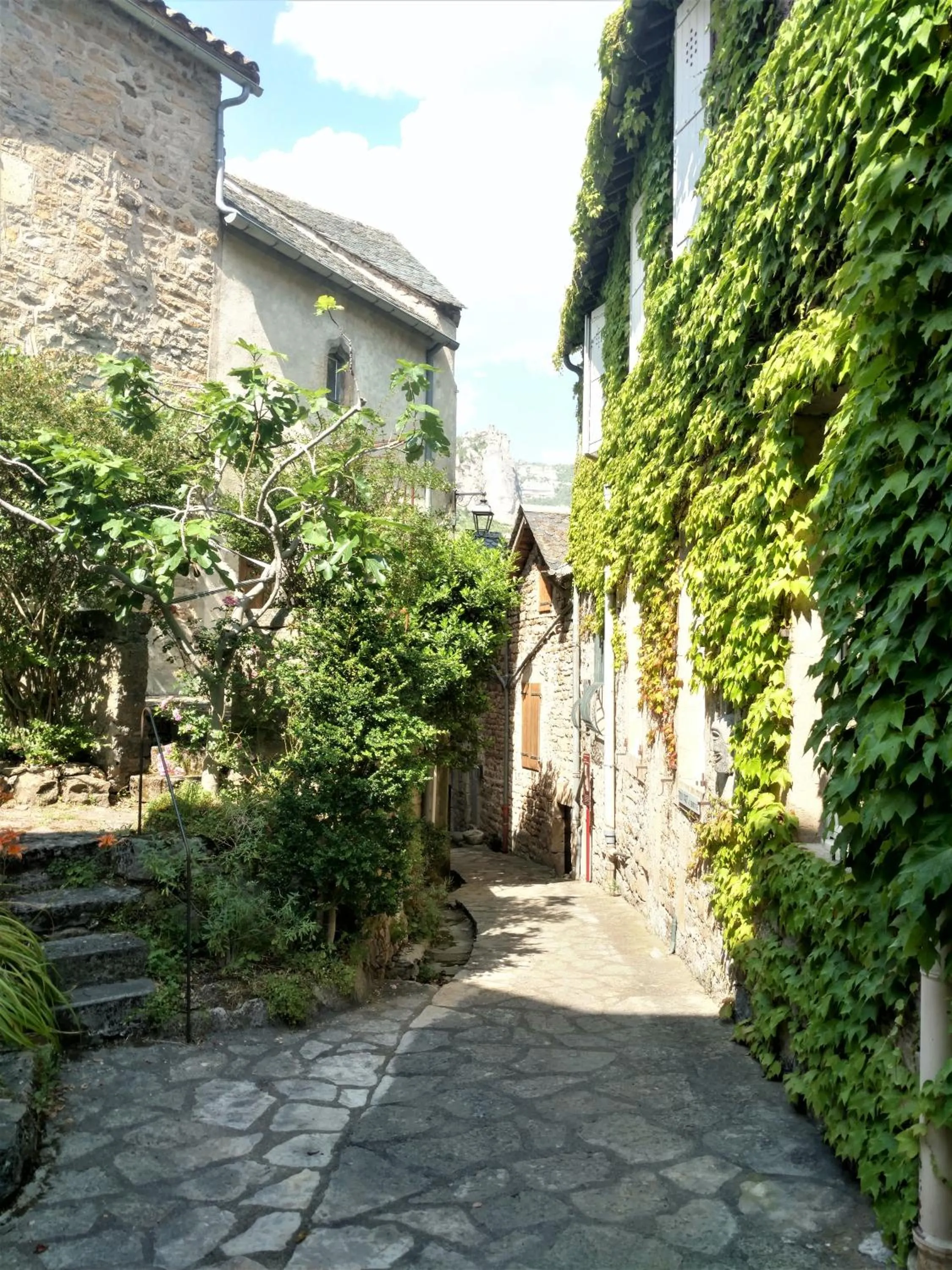 Neighbourhood in Ermitage de Peyreleau