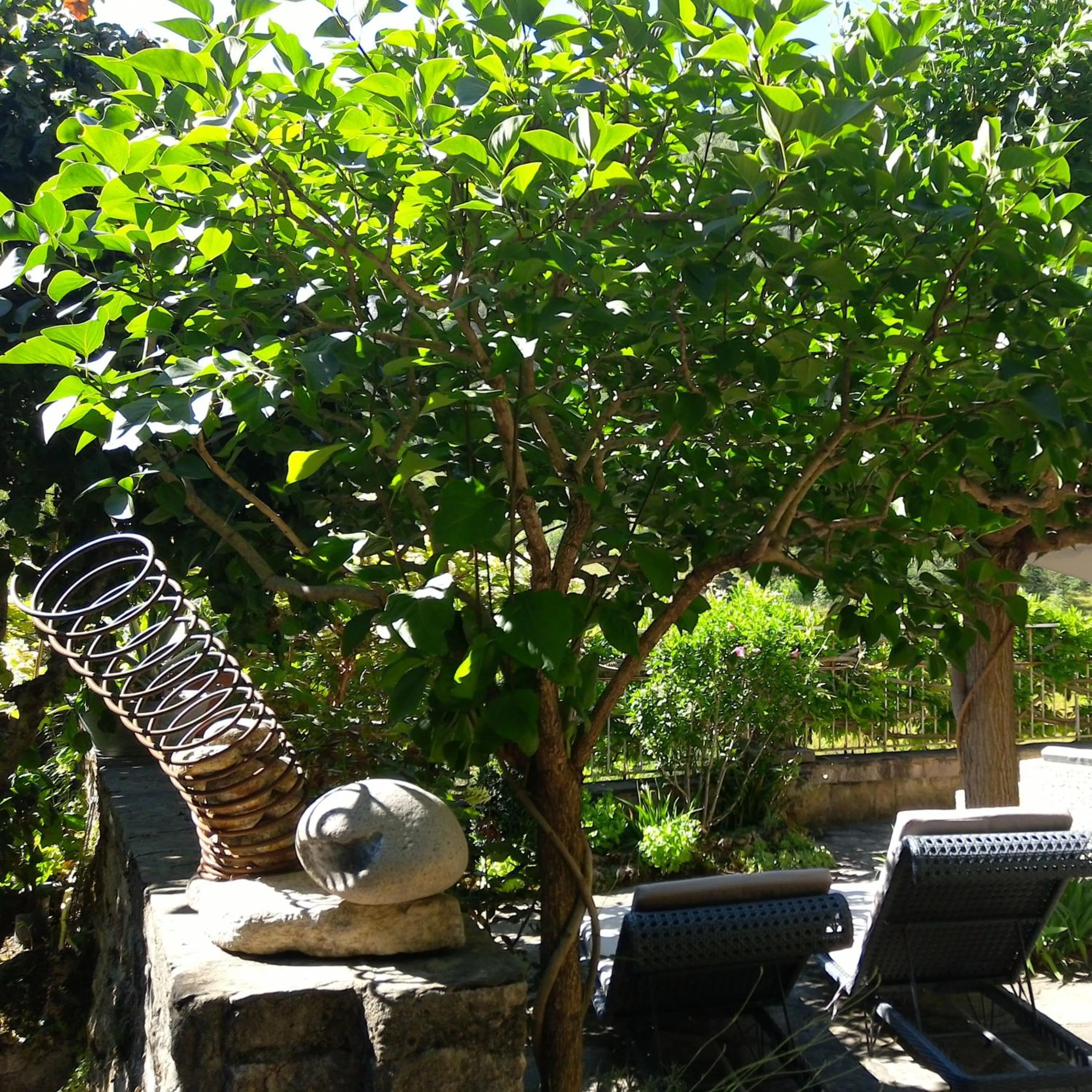 Garden in Ermitage de Peyreleau