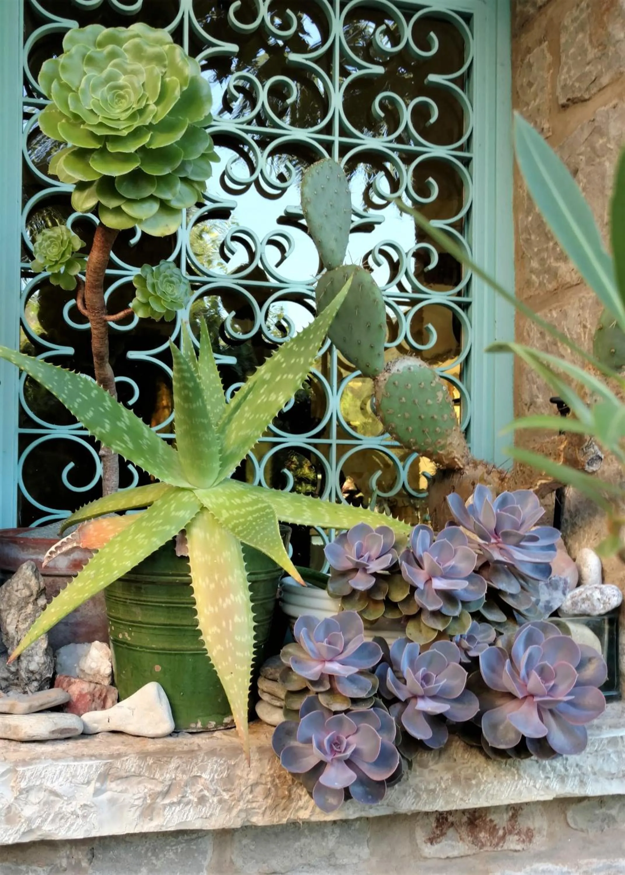 Garden in Ermitage de Peyreleau