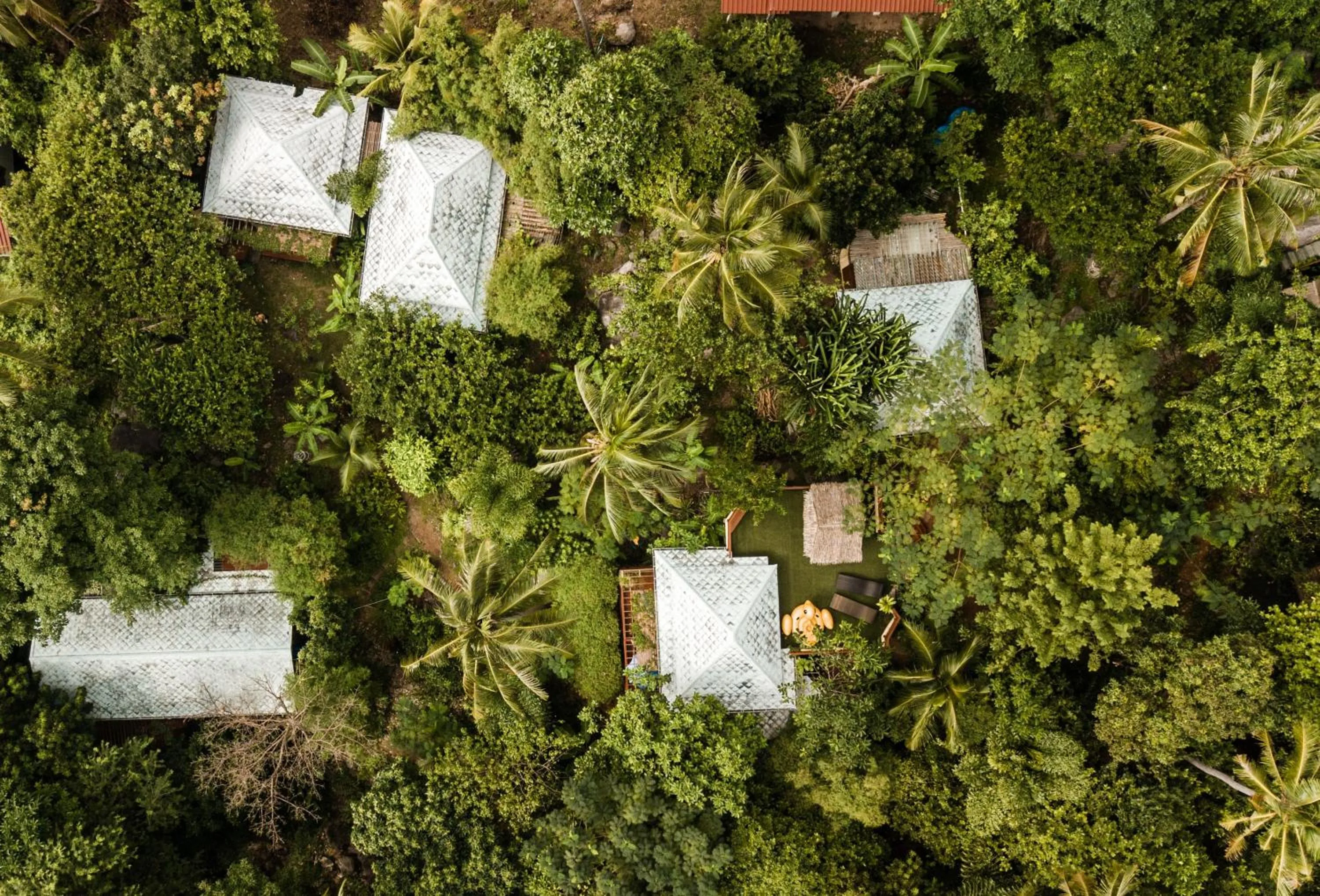 Bird's eye view in la Cigale