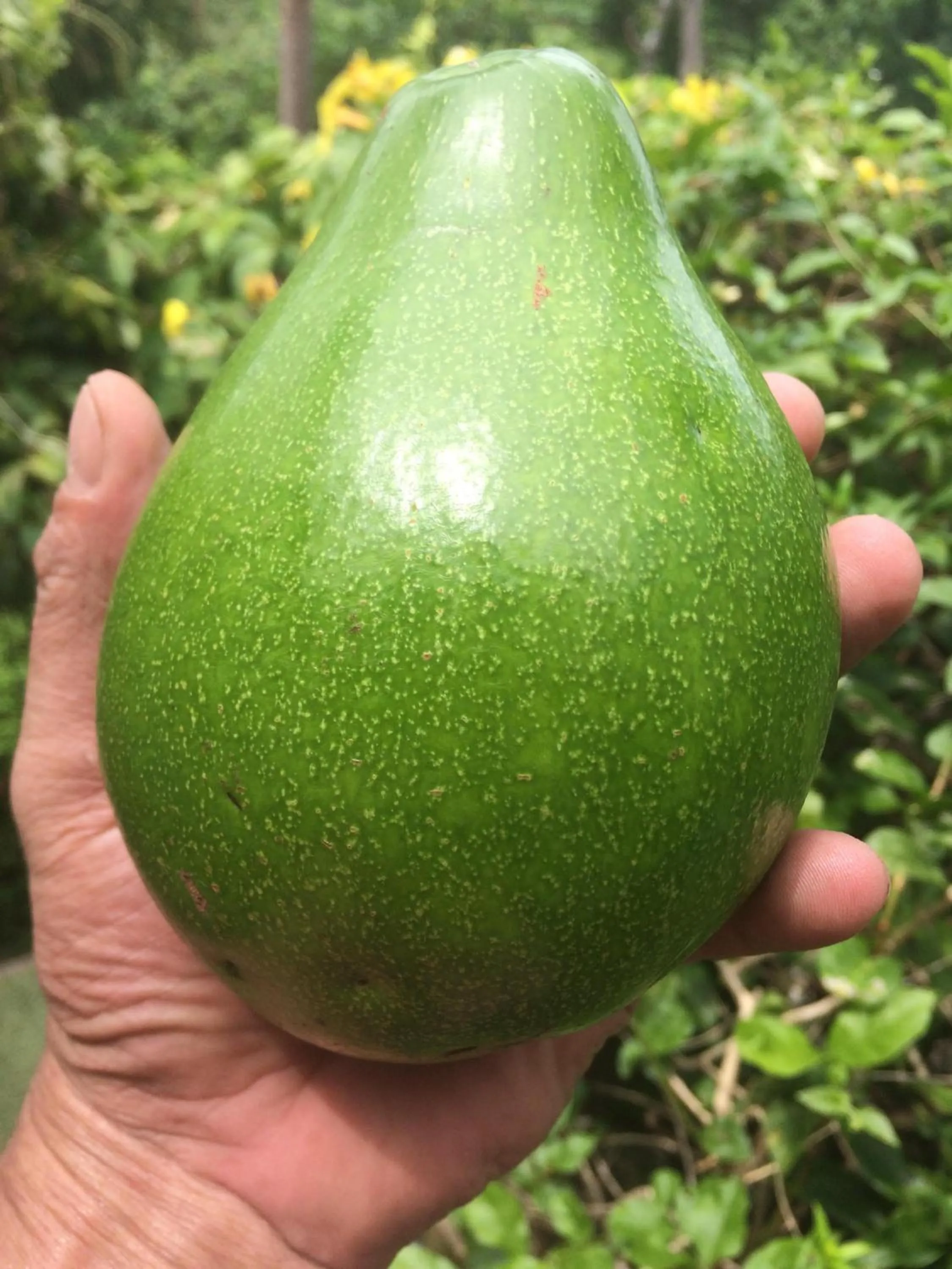 Food close-up in la Cigale