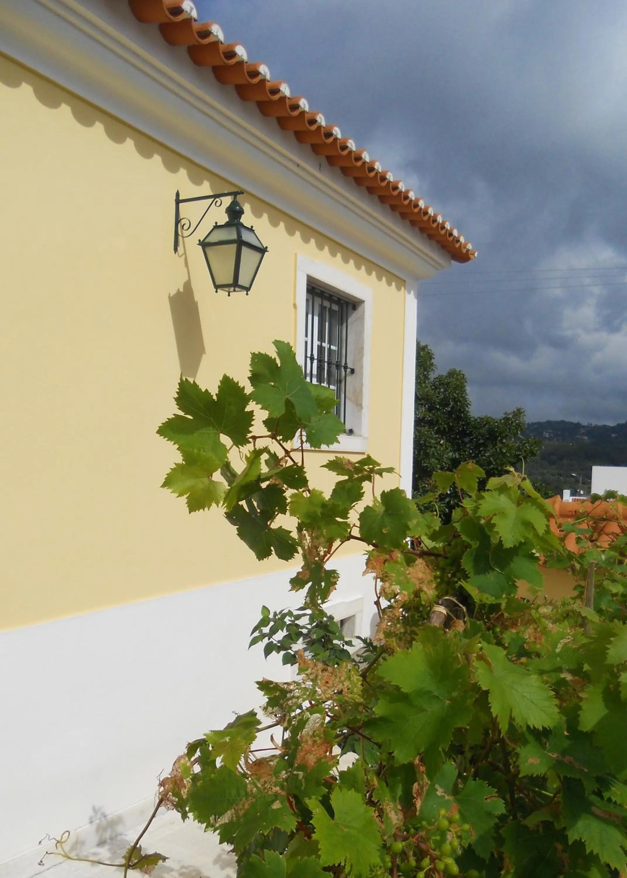 Galo Preto - Sintra Guesthouse