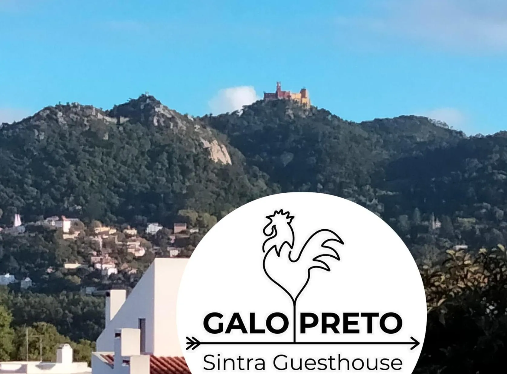 Galo Preto - Sintra Guesthouse
