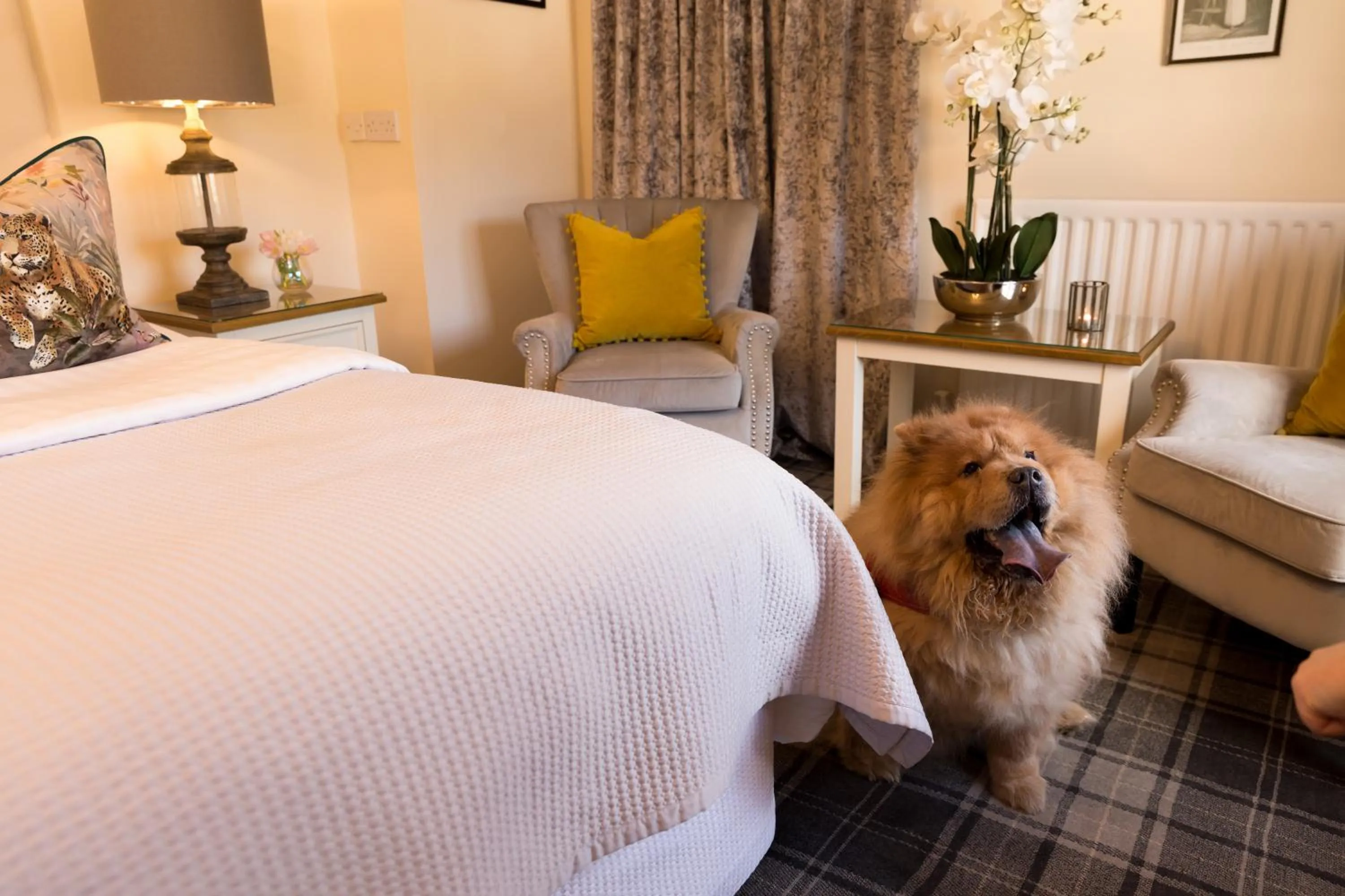 Bed in Warkworth House Hotel