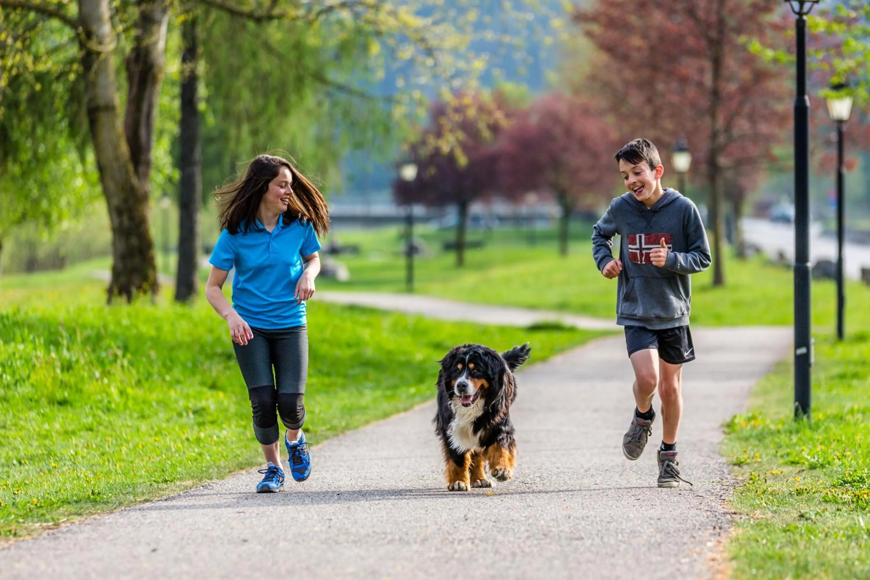 Pets in Residence Rta La Rosa delle Dolomiti