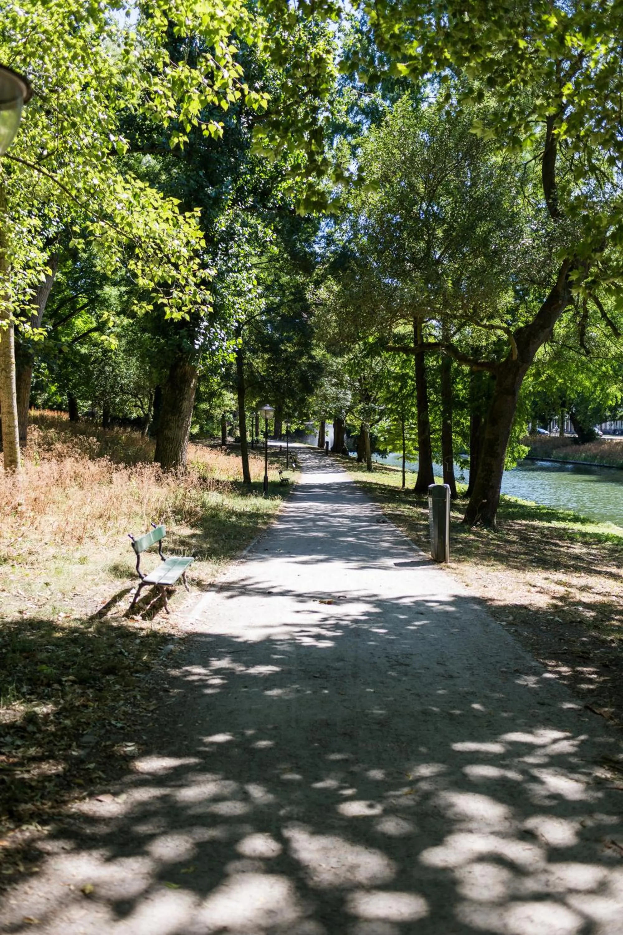 Neighbourhood in De Hoendervorst