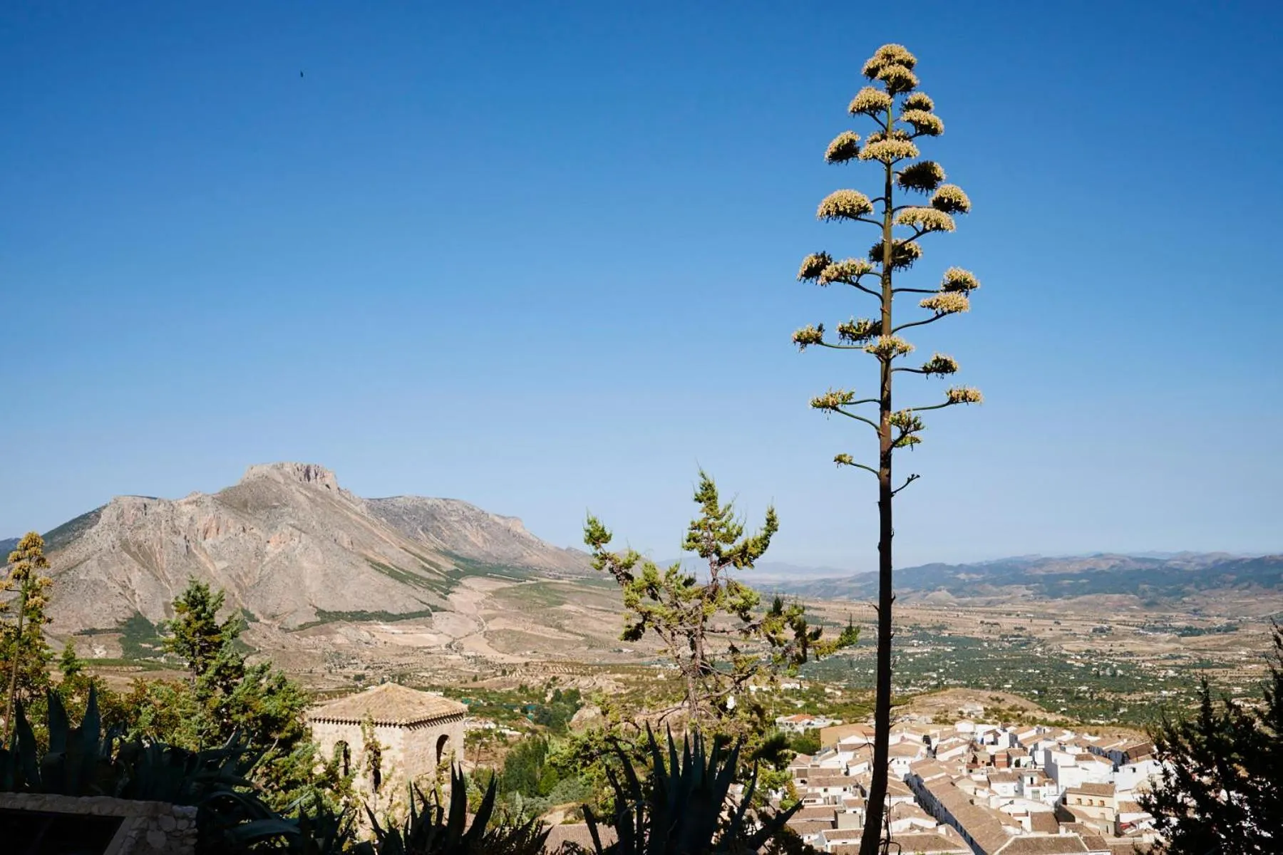 Property building in Hotel Casa de los Arcos