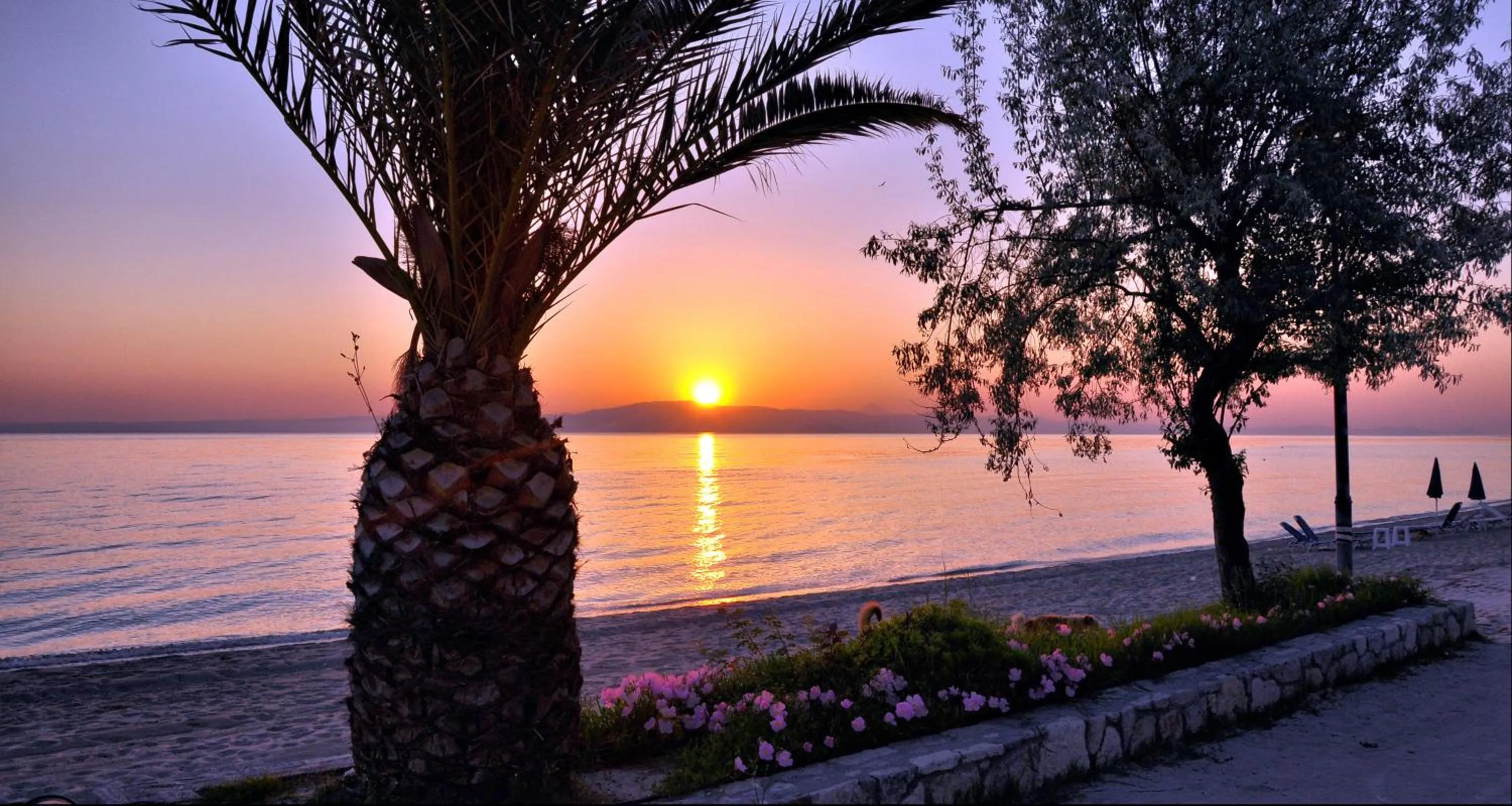 Beach in Anatoli Apartments Polichrono