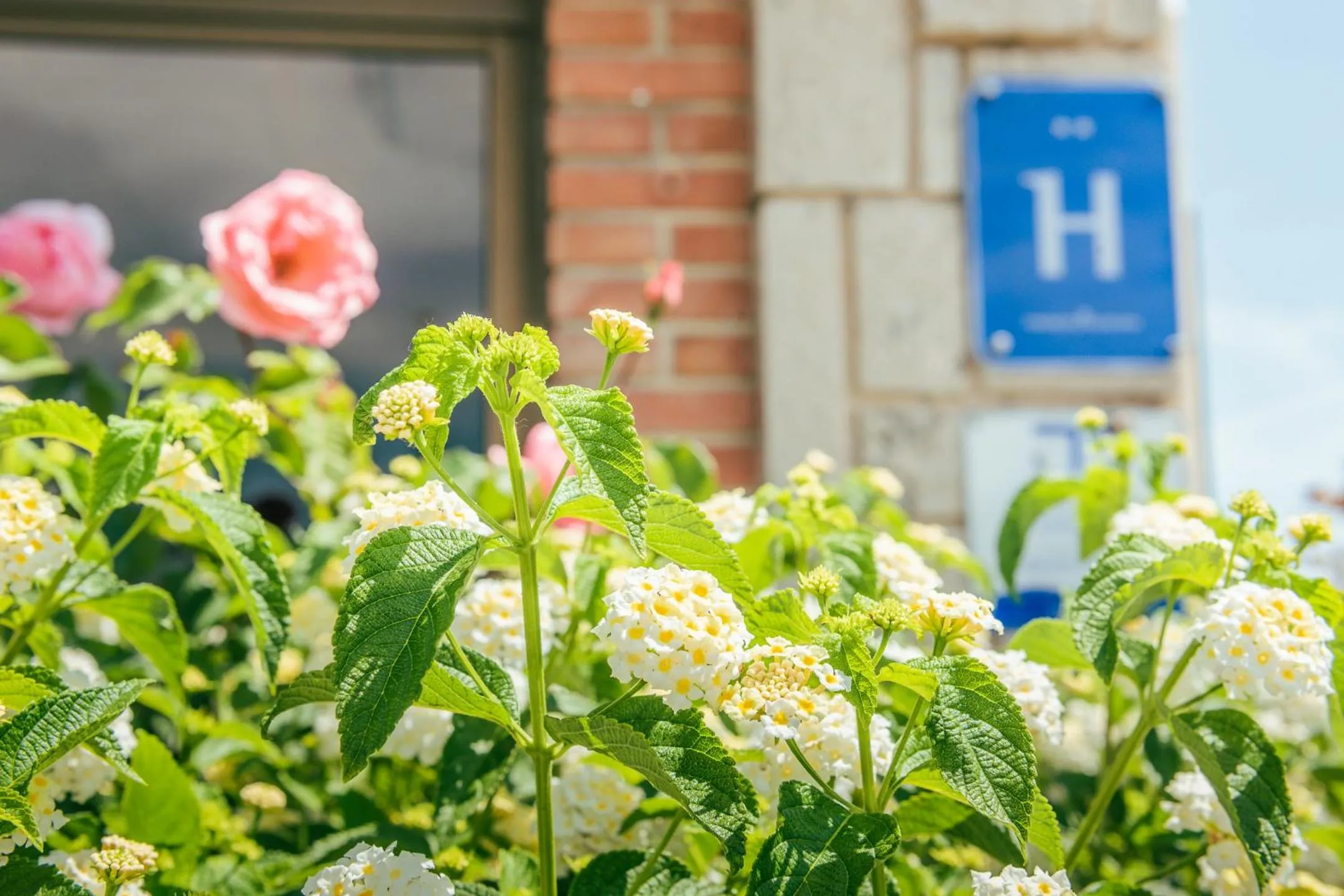 Lobby or reception in Hotel Duc de Vendôme