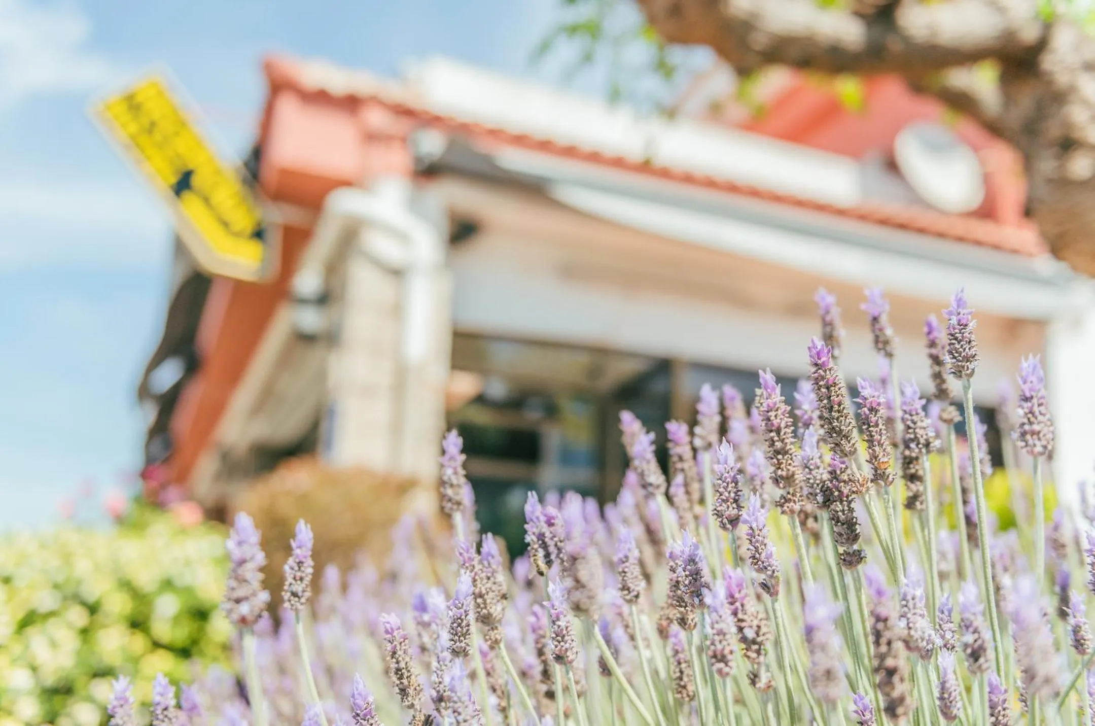 Property building in Hotel Duc de Vendôme