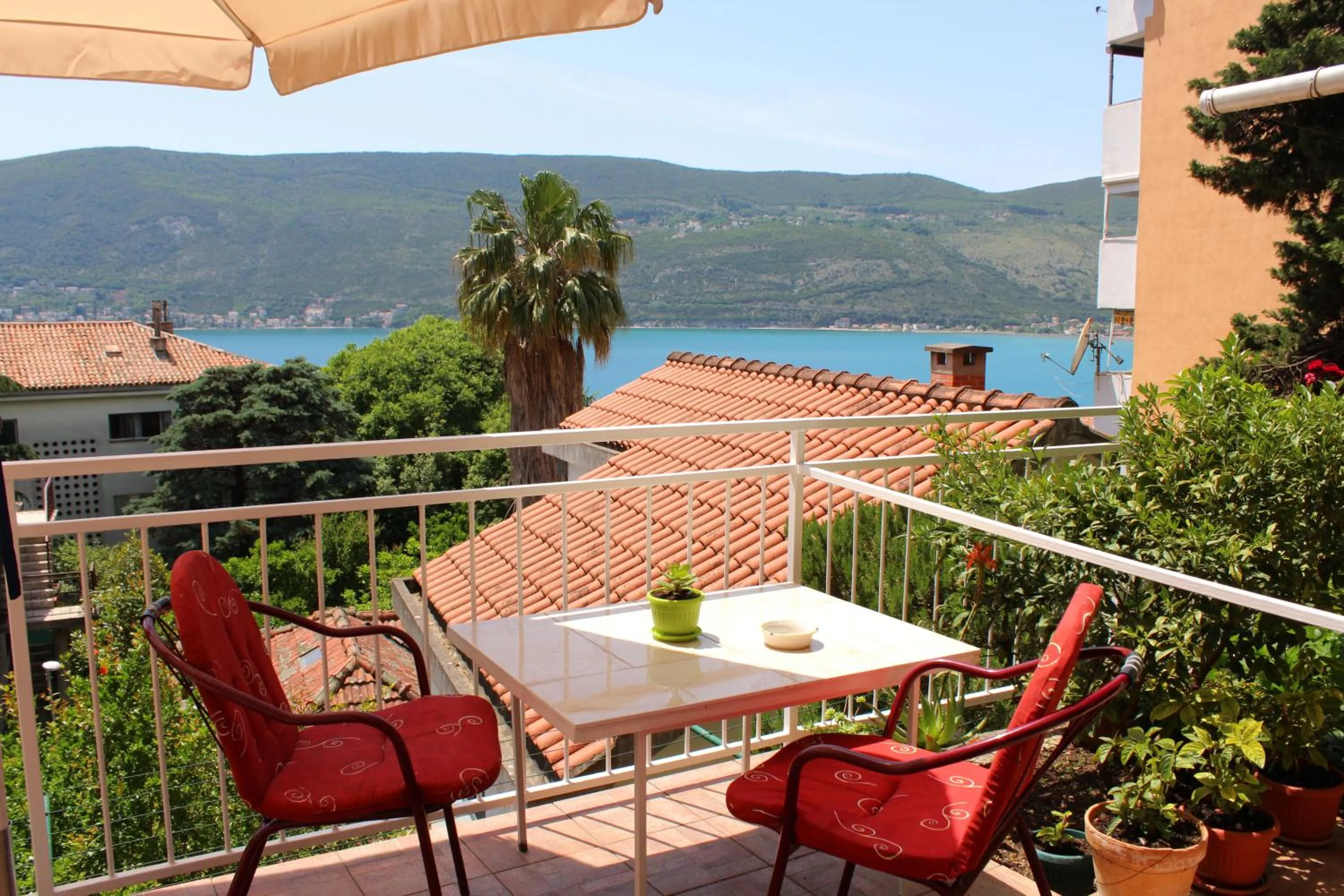 Spring in Guest House Tomanovic