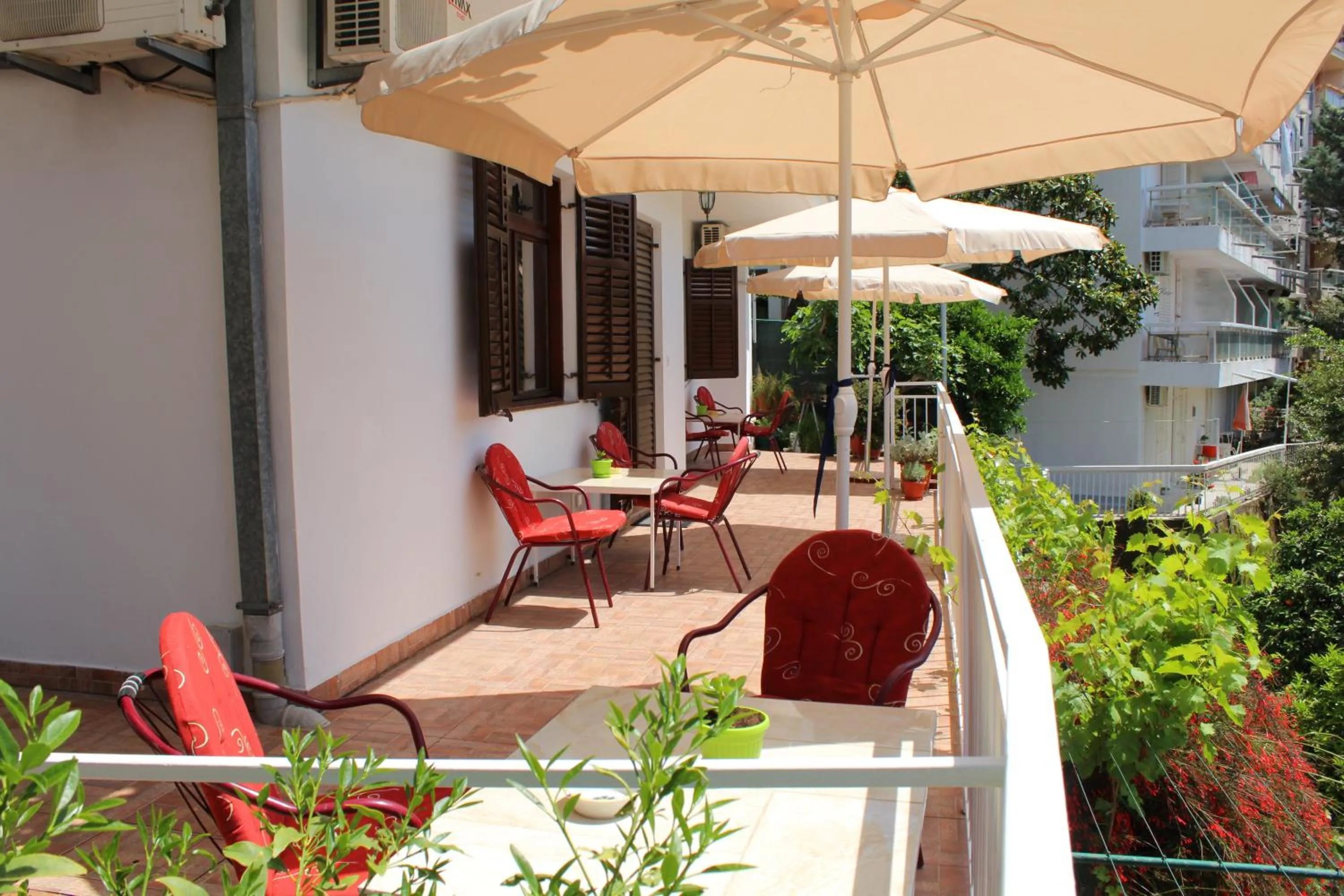 Day in Guest House Tomanovic