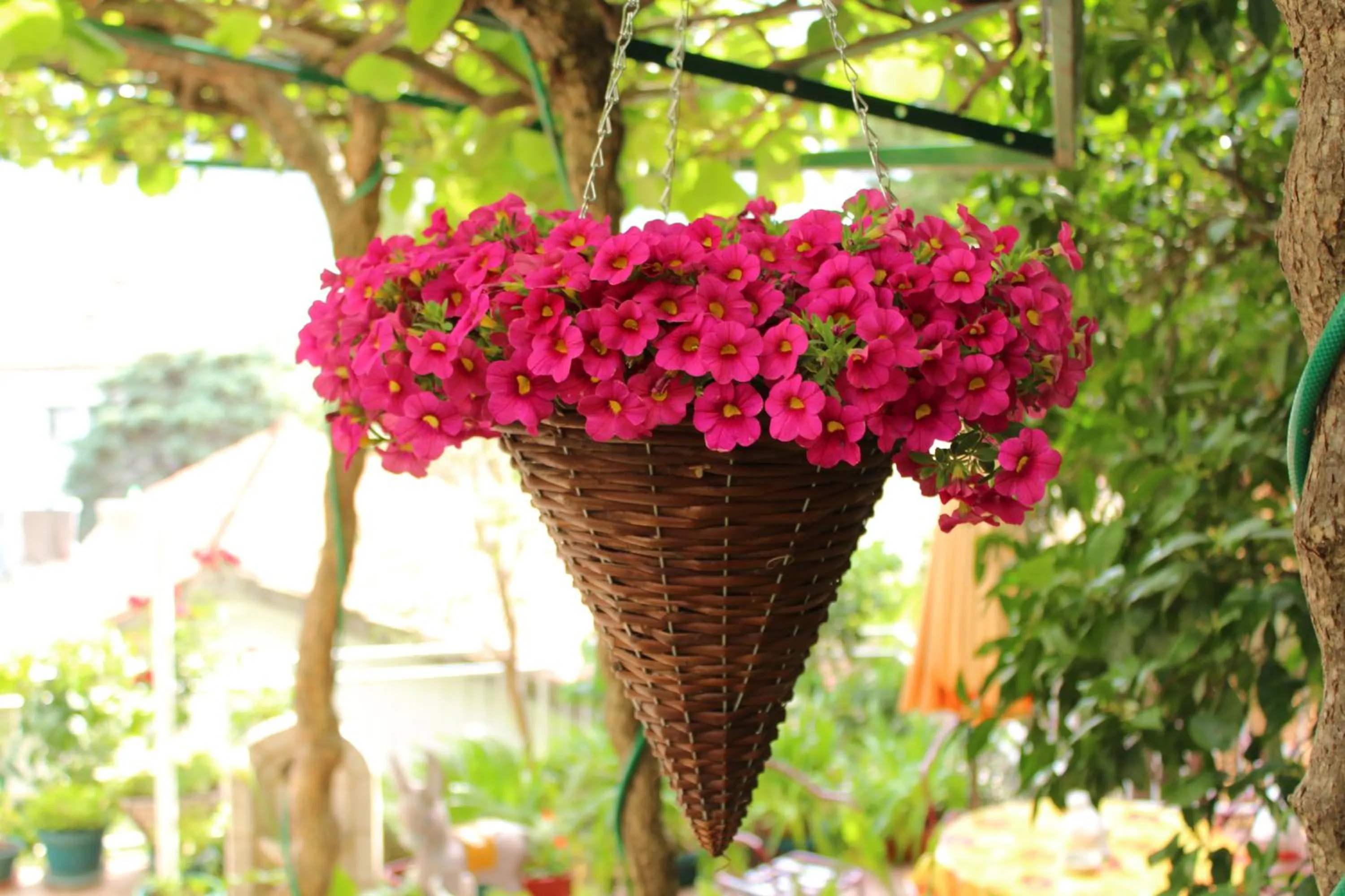 Spring in Guest House Tomanovic