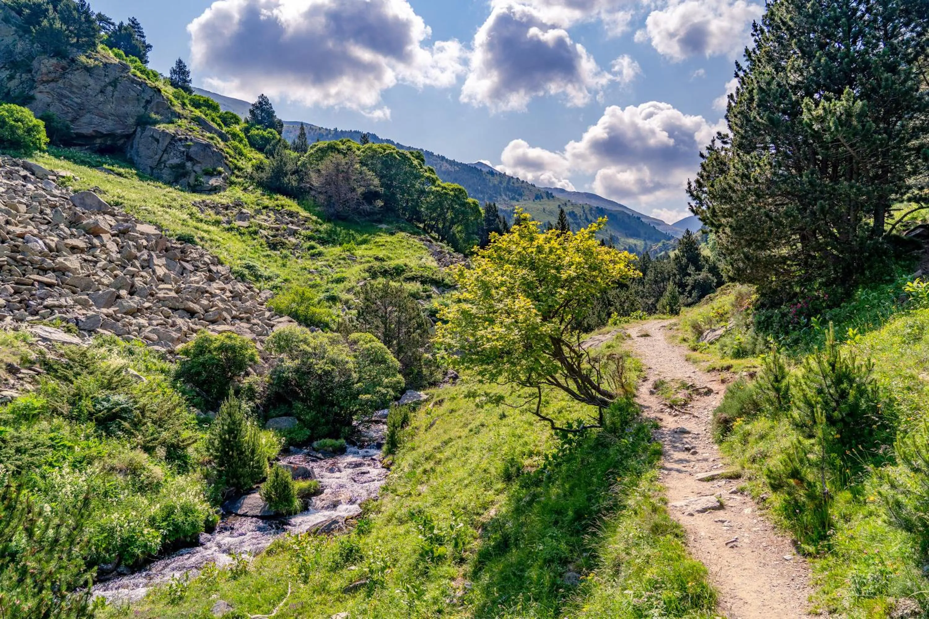 Natural landscape in FranceComfort - L'Espinet